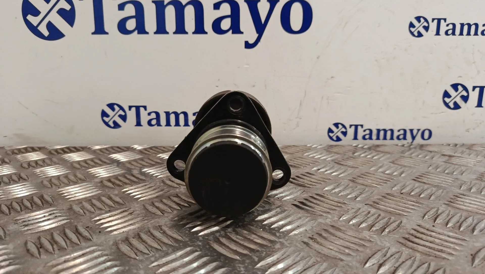 Polea Alternador para Ford Focus C-Max (Dm2)