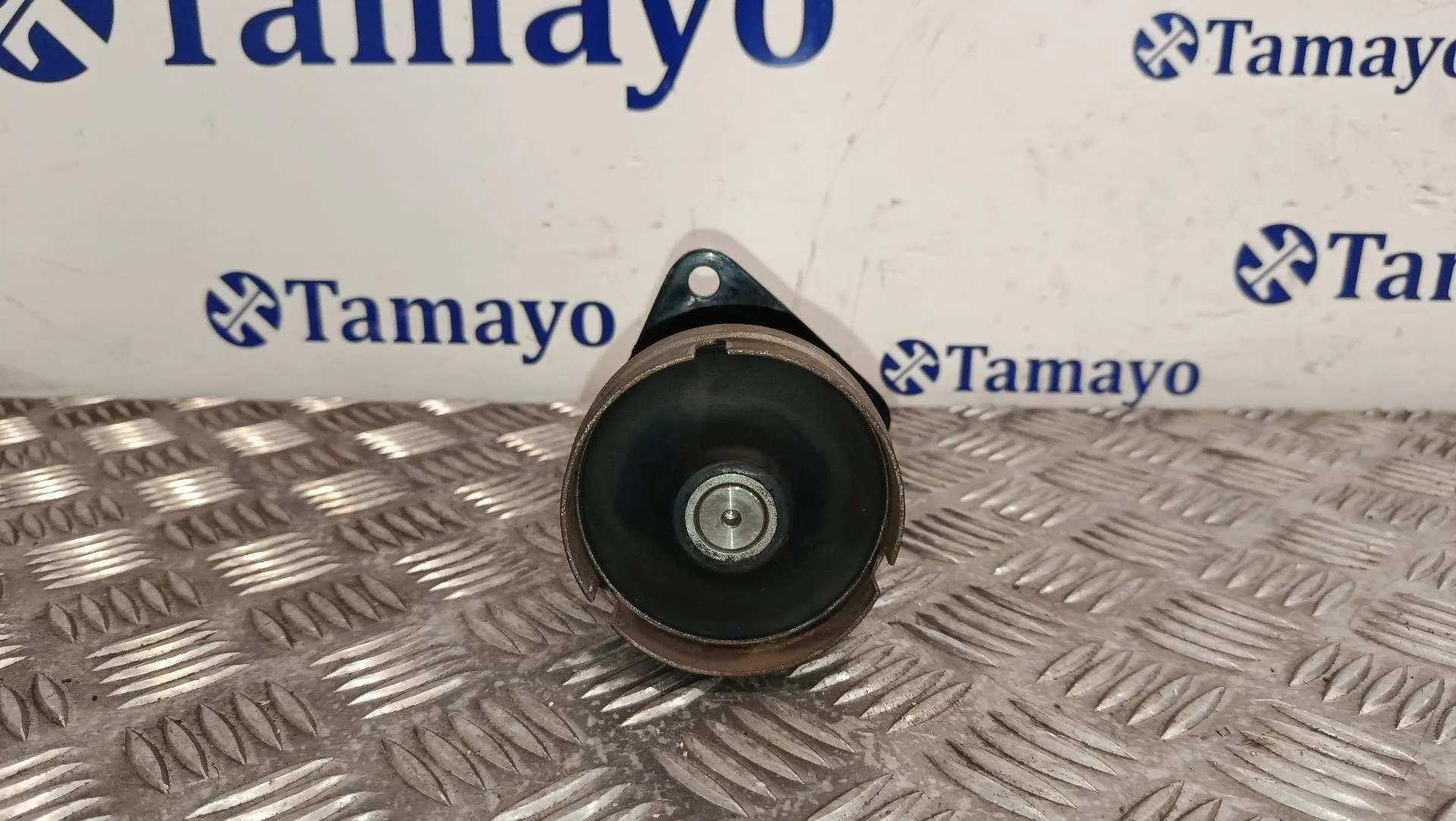Polea Alternador para Ford Focus C-Max (Dm2)