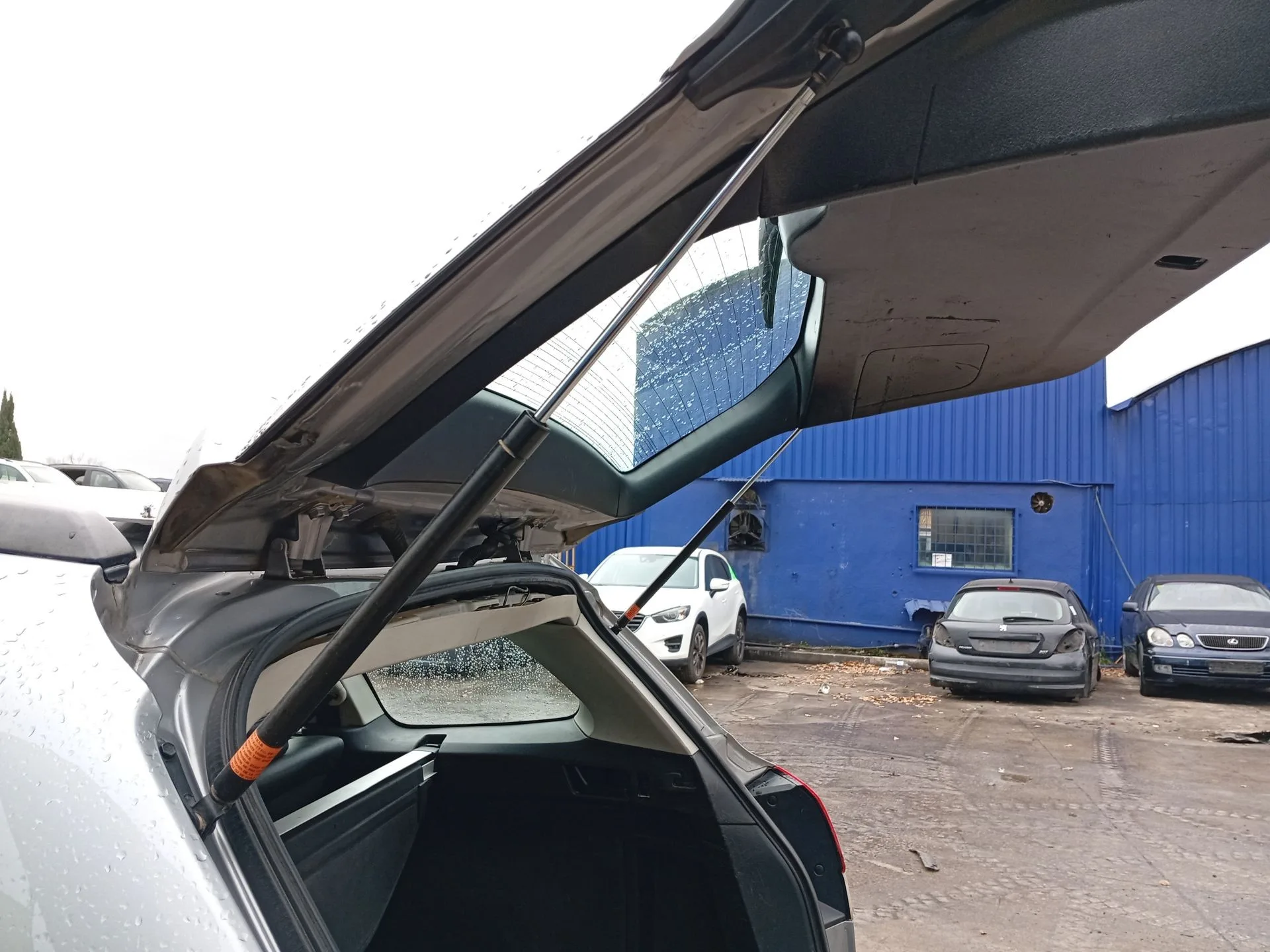 Amortiguadores Maletero / Porton para Subaru Legacy V (Bm)