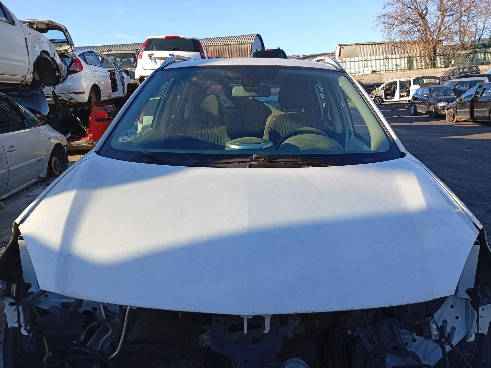 Capot para Renault Koleos