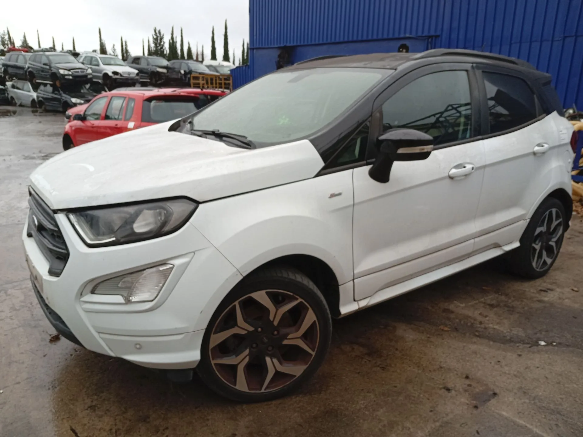 Amortiguador Delantero Izquierdo para Ford Ecosport