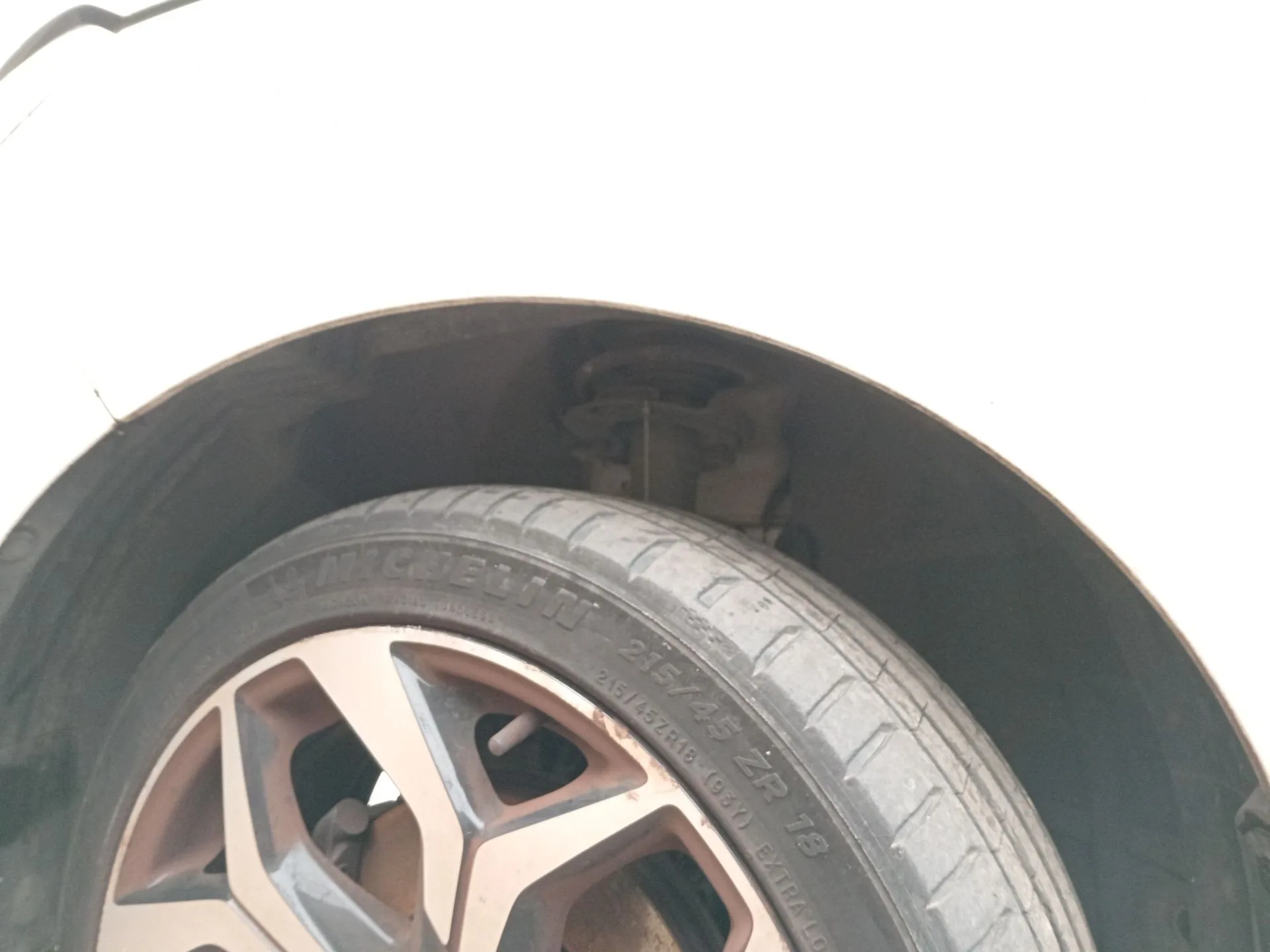 Amortiguador Delantero Izquierdo para Ford Ecosport