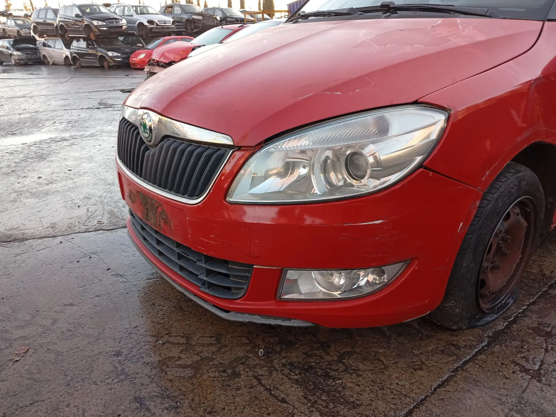 Paragolpes Delantero para Skoda Fabia Ii (542)