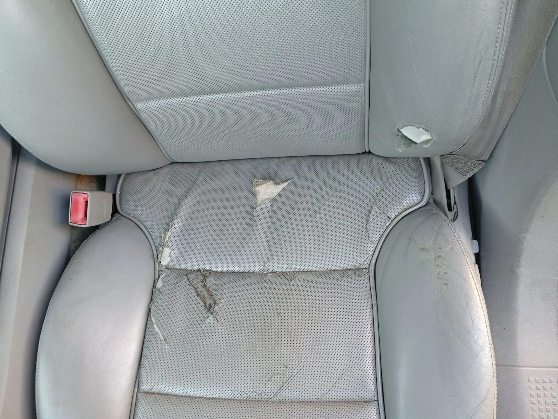 Asiento Delantero Izquierdo para Audi A8 D3 (4E2, 4E8)