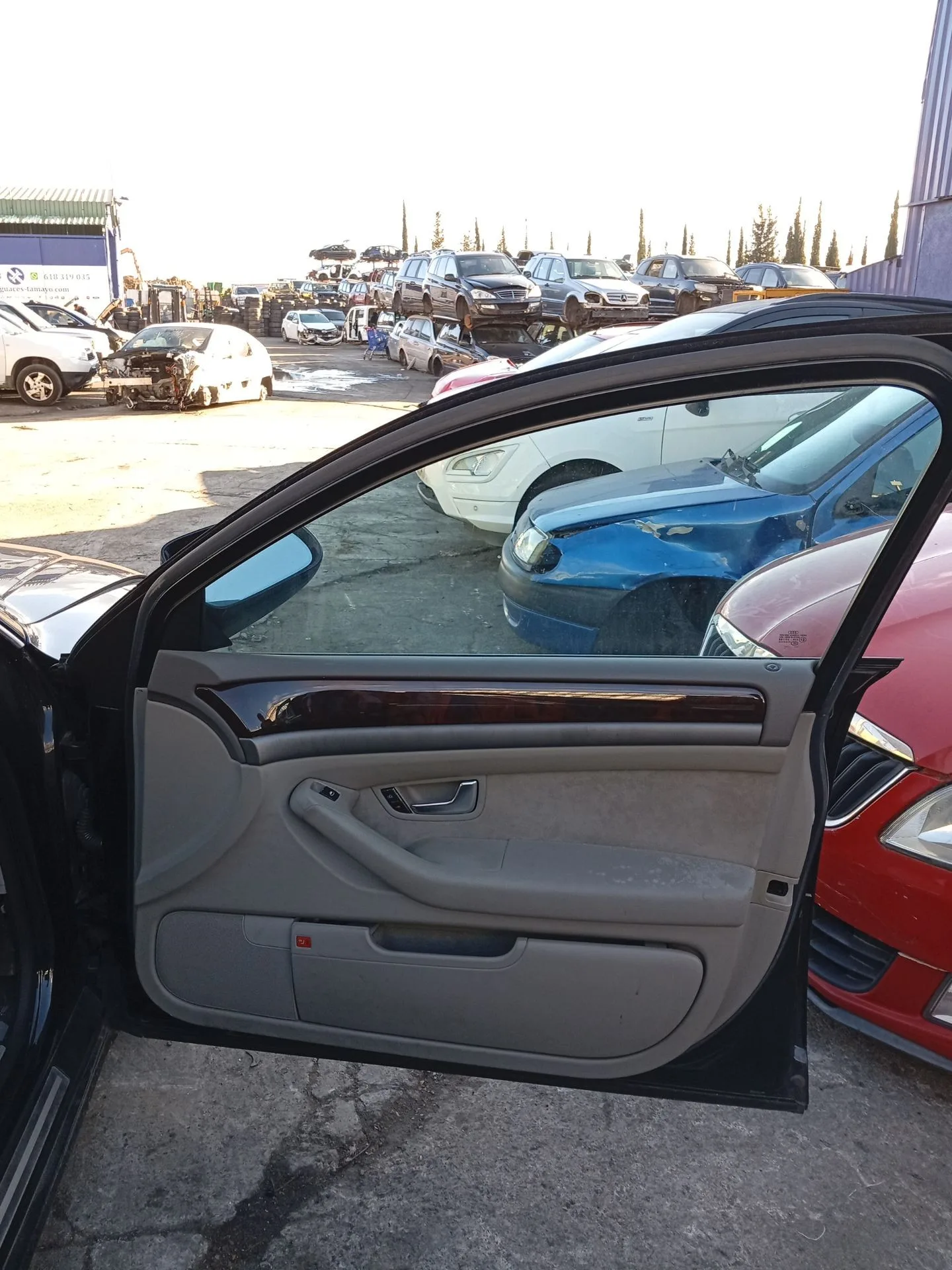 Elevalunas Delantero Derecho para Audi A8 D3 (4E2, 4E8)