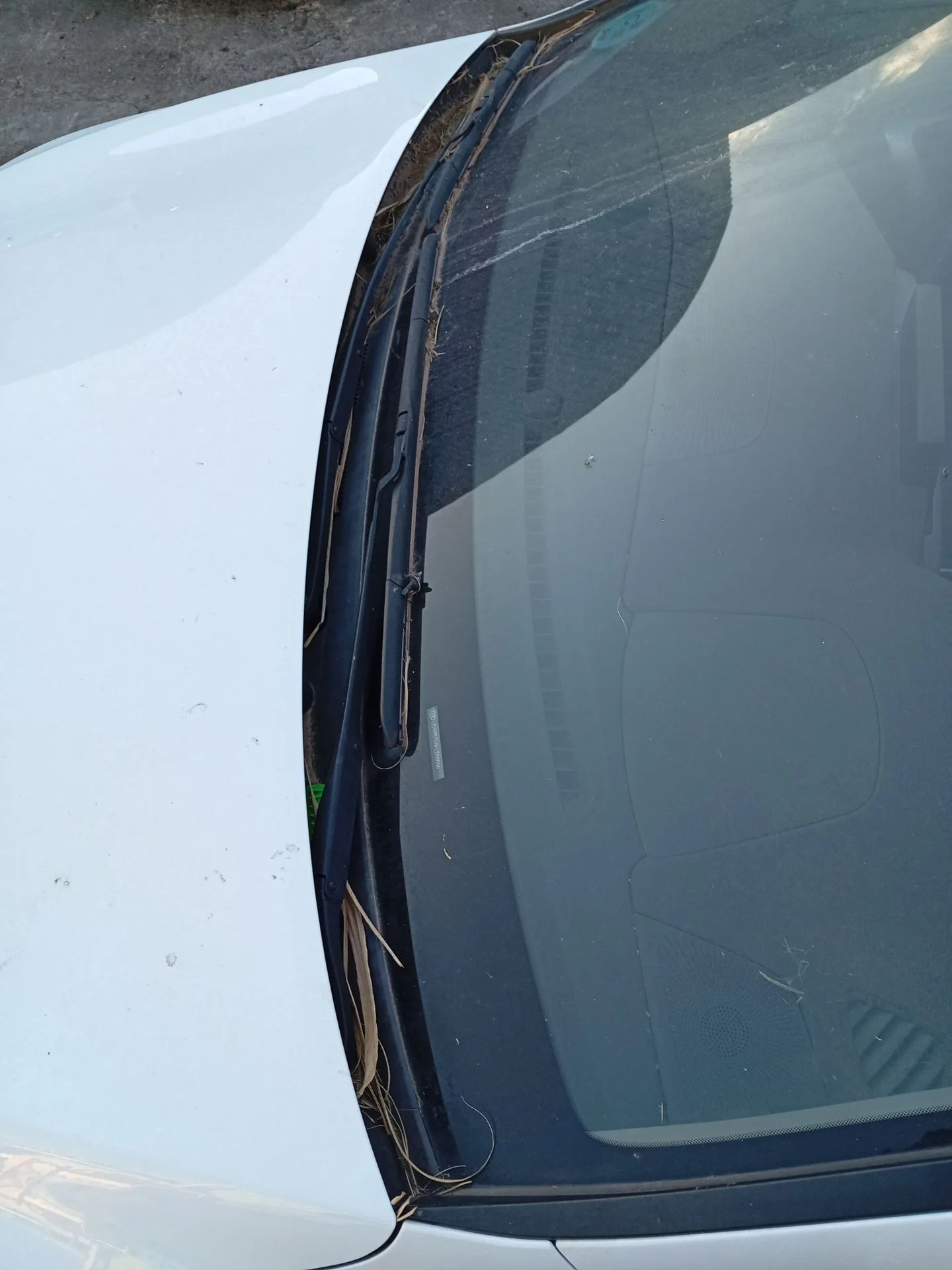 Torpedo para Kia Ceed