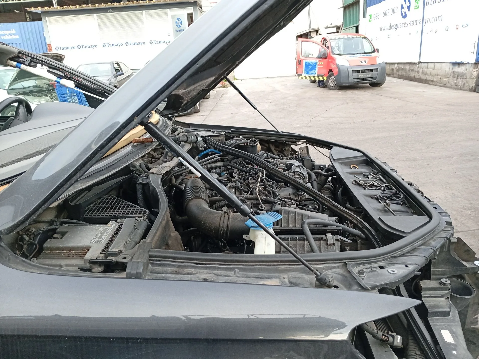 Amortiguadores Capo para Audi Q7 (4Lb)