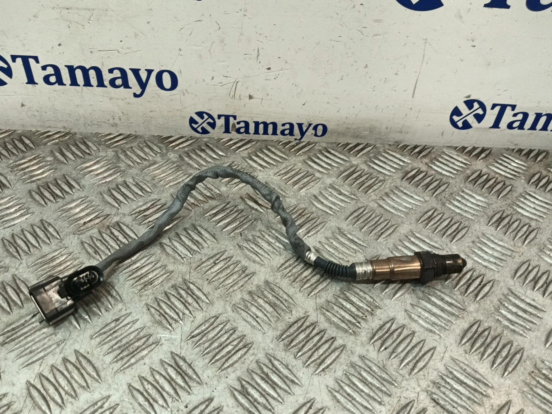 Sonda Evaporador para Renault Clio Iii (Br0/1, Cr0/1)