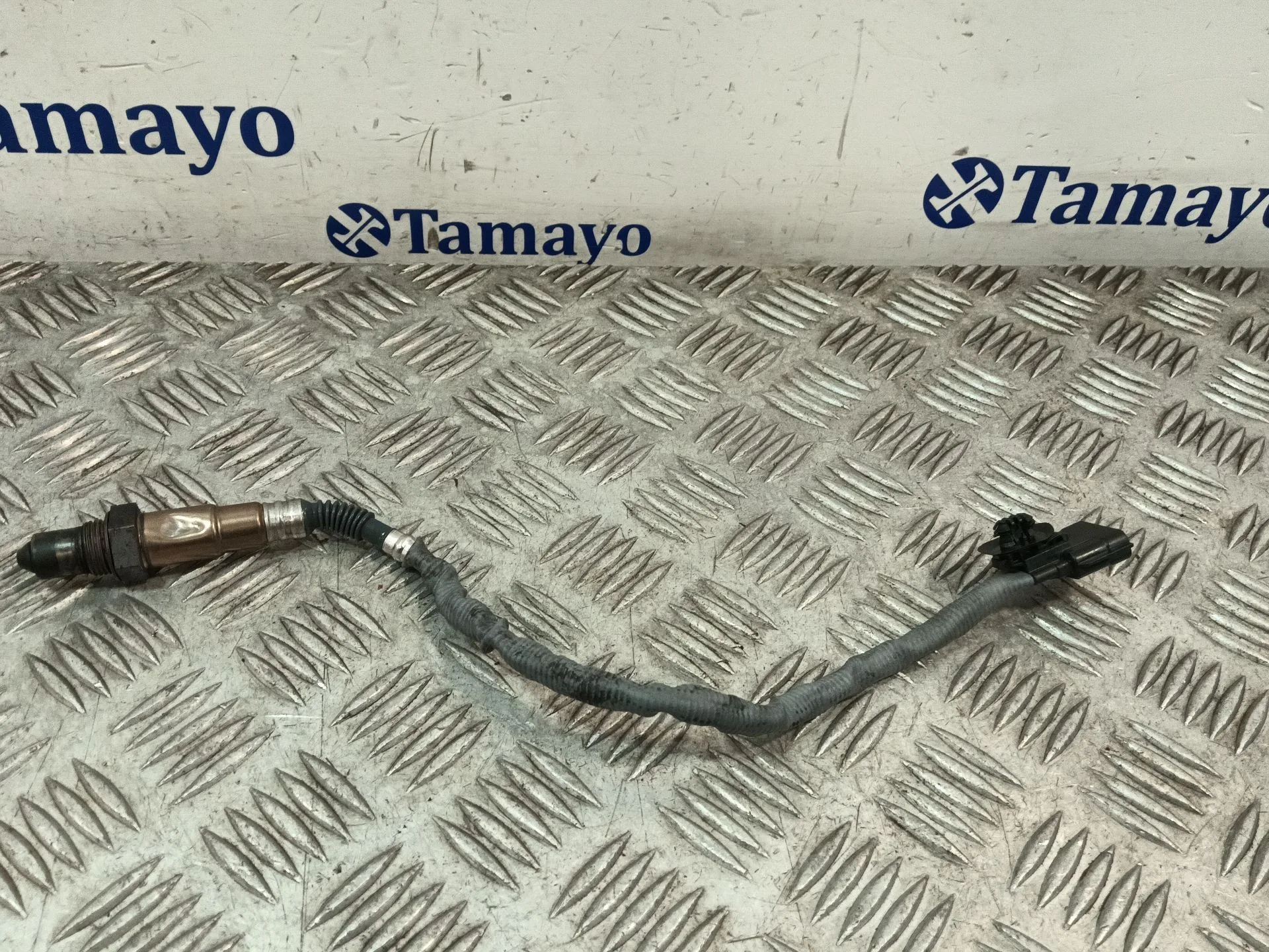 Sonda Evaporador para Renault Clio Iii (Br0/1, Cr0/1)