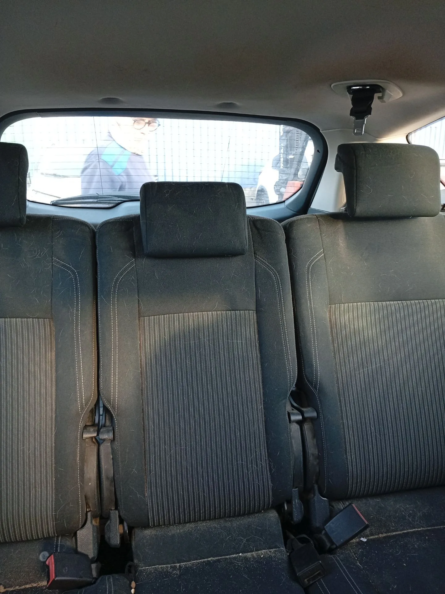 Cinturon Seguridad Trasero Central para Ford C-Max Ii (Dxa/Cb7, Dxa/Ceu)
