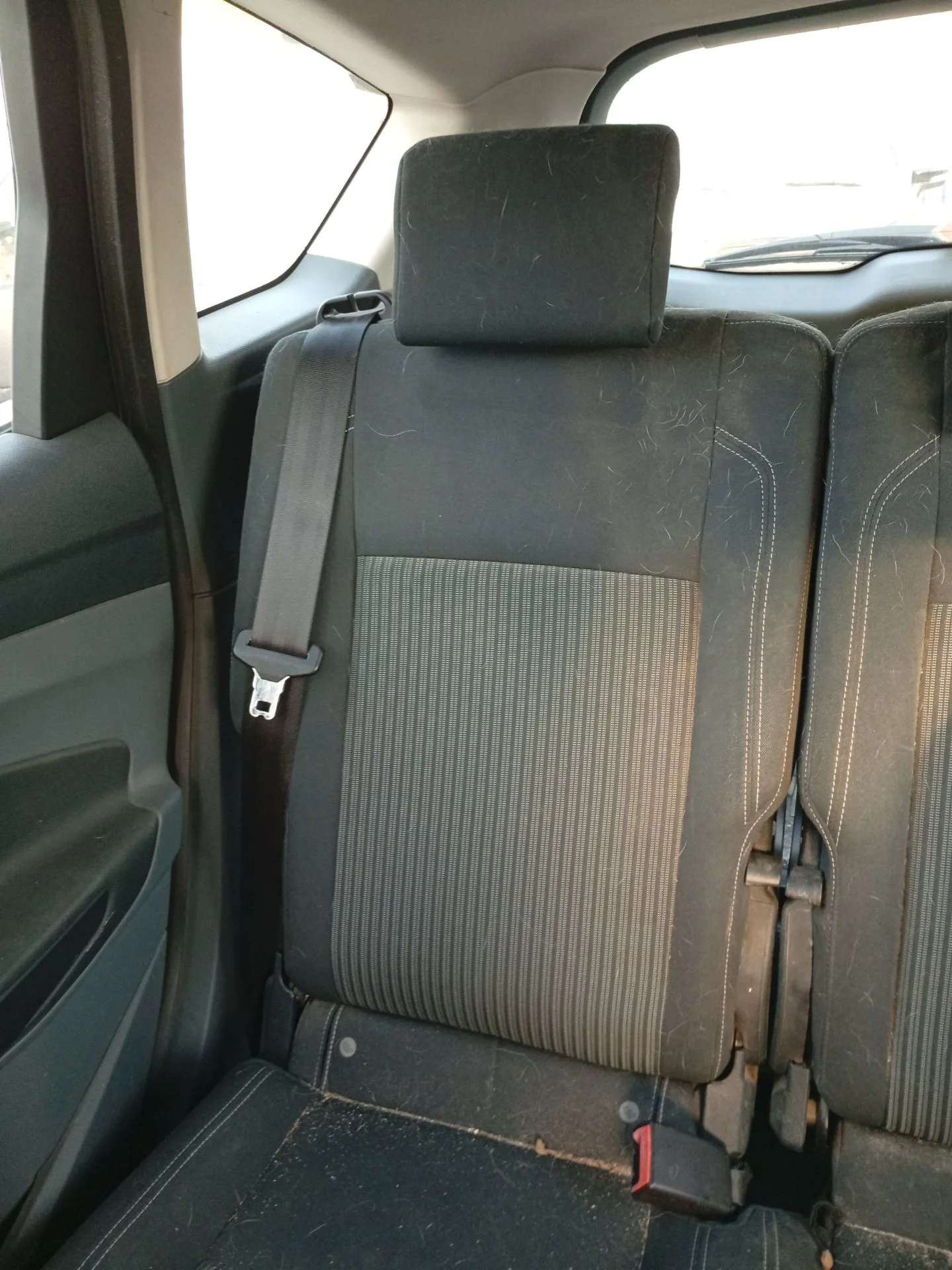 Cinturon Seguridad Trasero Derecho para Ford C-Max Ii (Dxa/Cb7, Dxa/Ceu)