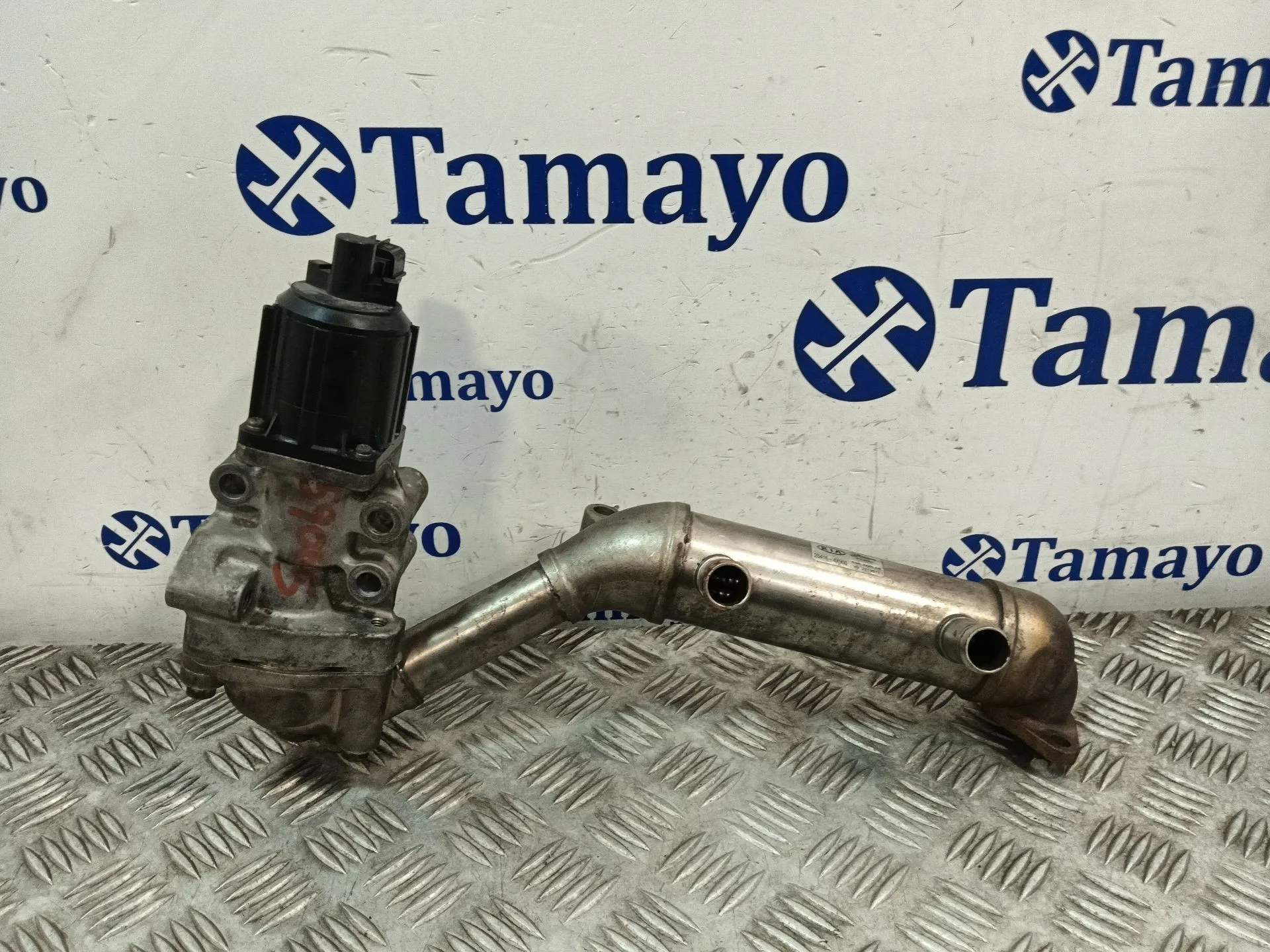 Enfriador Egr para Kia Carnival