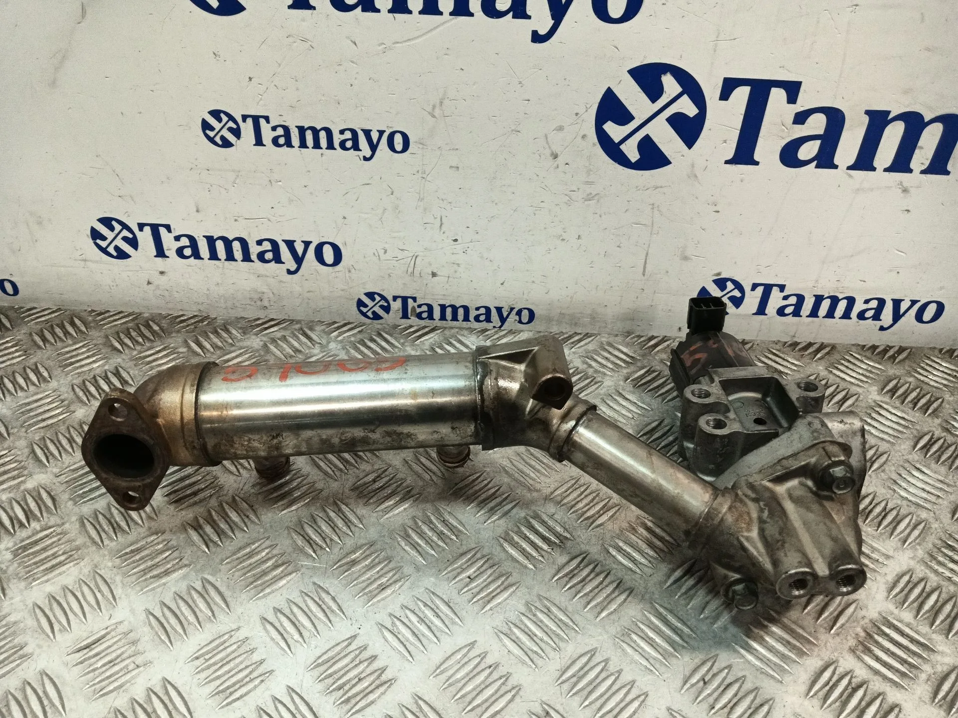 Enfriador Egr para Kia Carnival