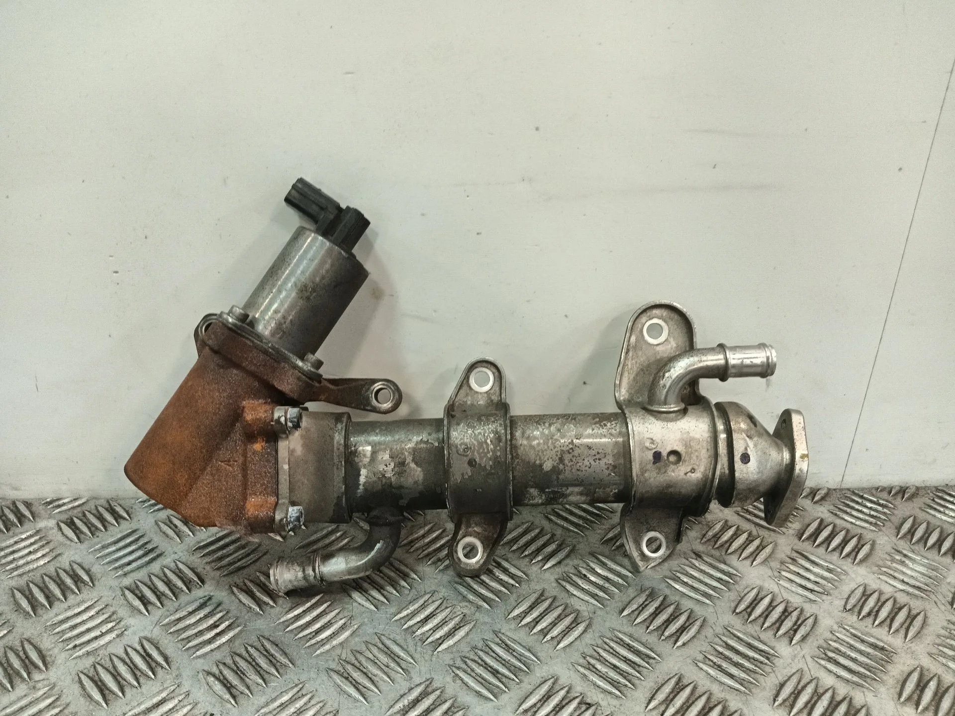 Enfriador Egr para Ssangyong Kyron