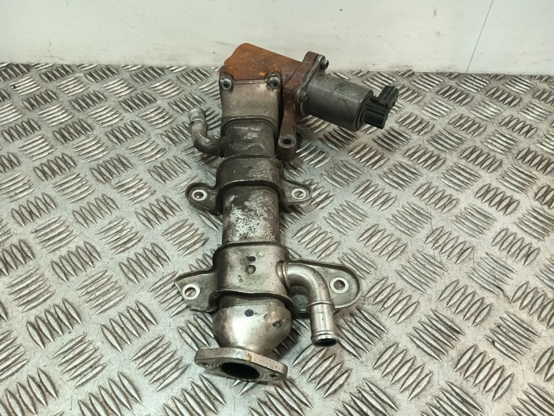 Enfriador Egr para Ssangyong Kyron