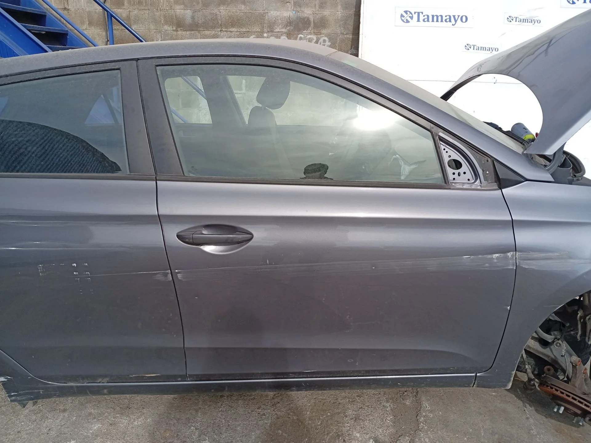 Puerta Delantera Derecha para Hyundai I20