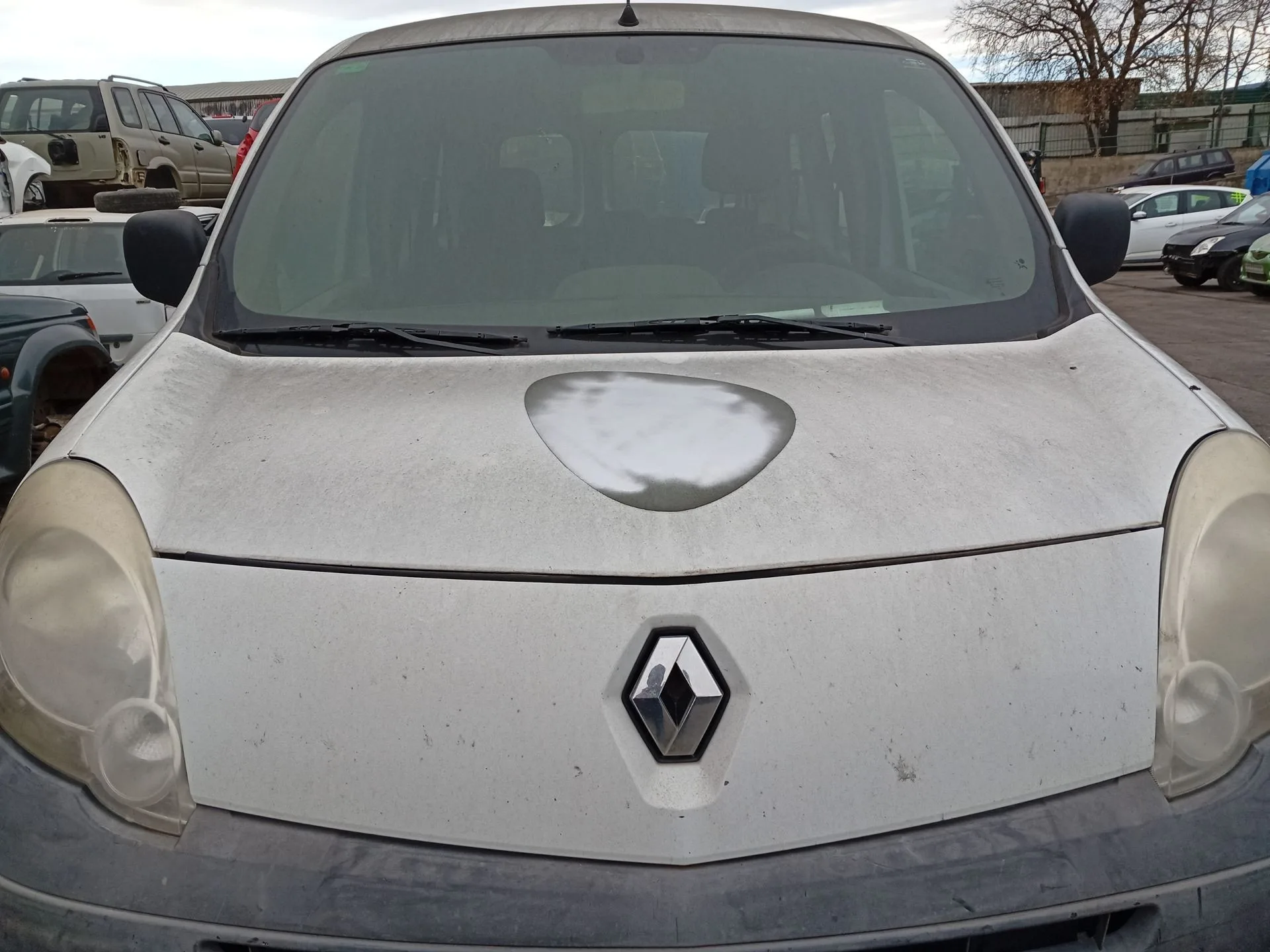 Capot para Renault Kangoo / Grand Kangoo Ii (Kw0/1_)