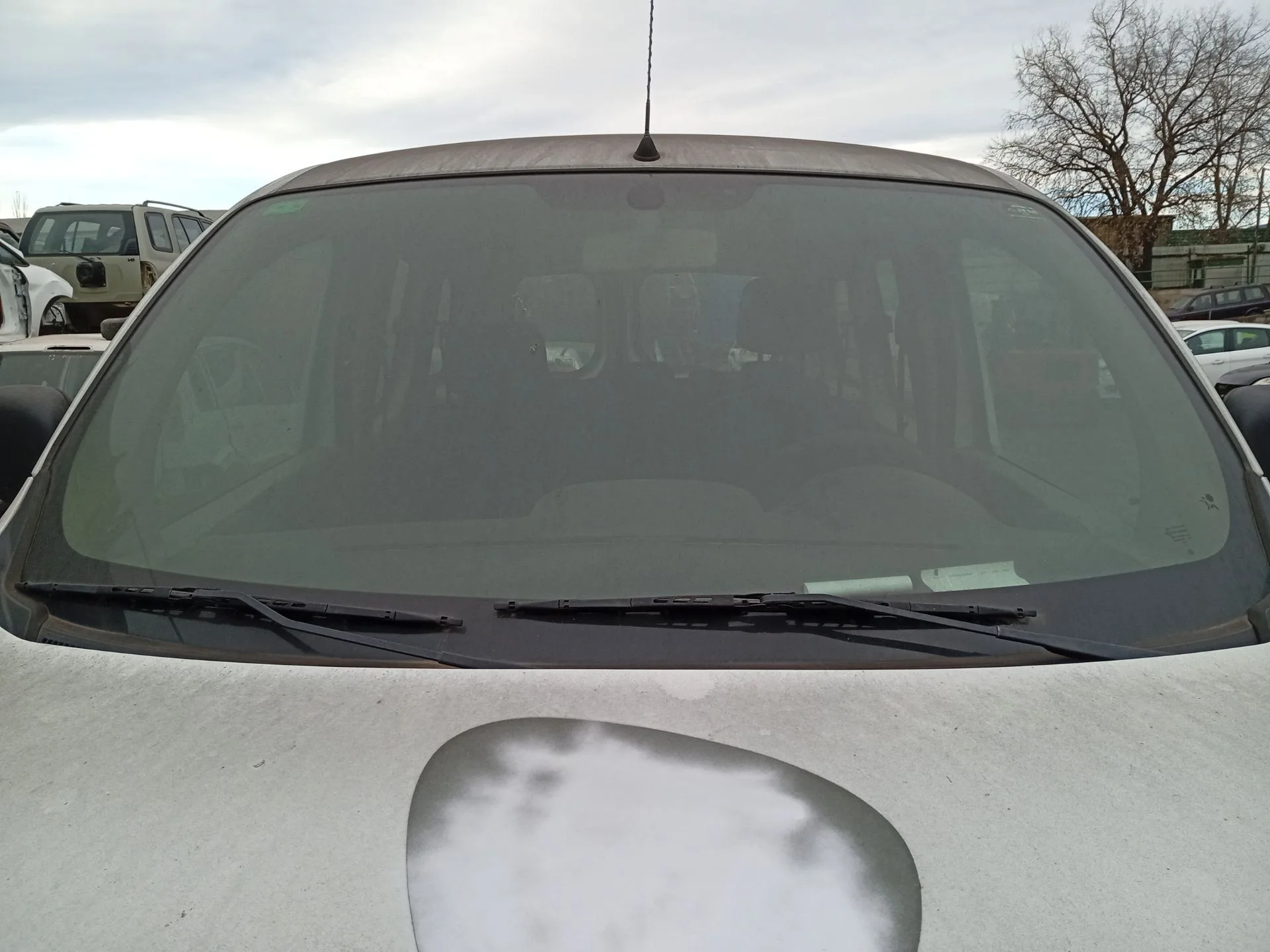 Parabrisas para Renault Kangoo / Grand Kangoo Ii (Kw0/1_)
