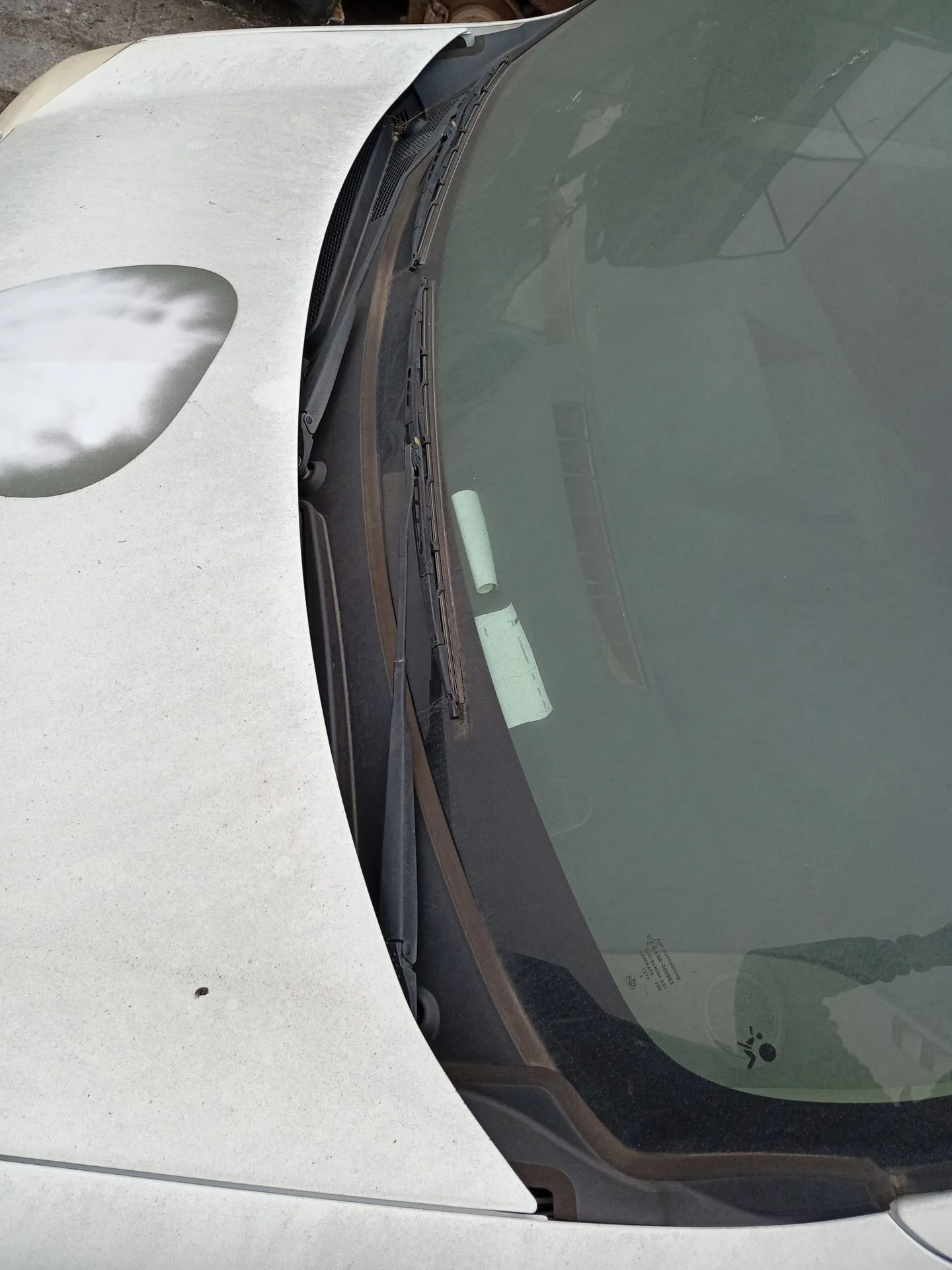 Torpedo para Renault Kangoo / Grand Kangoo Ii (Kw0/1_)