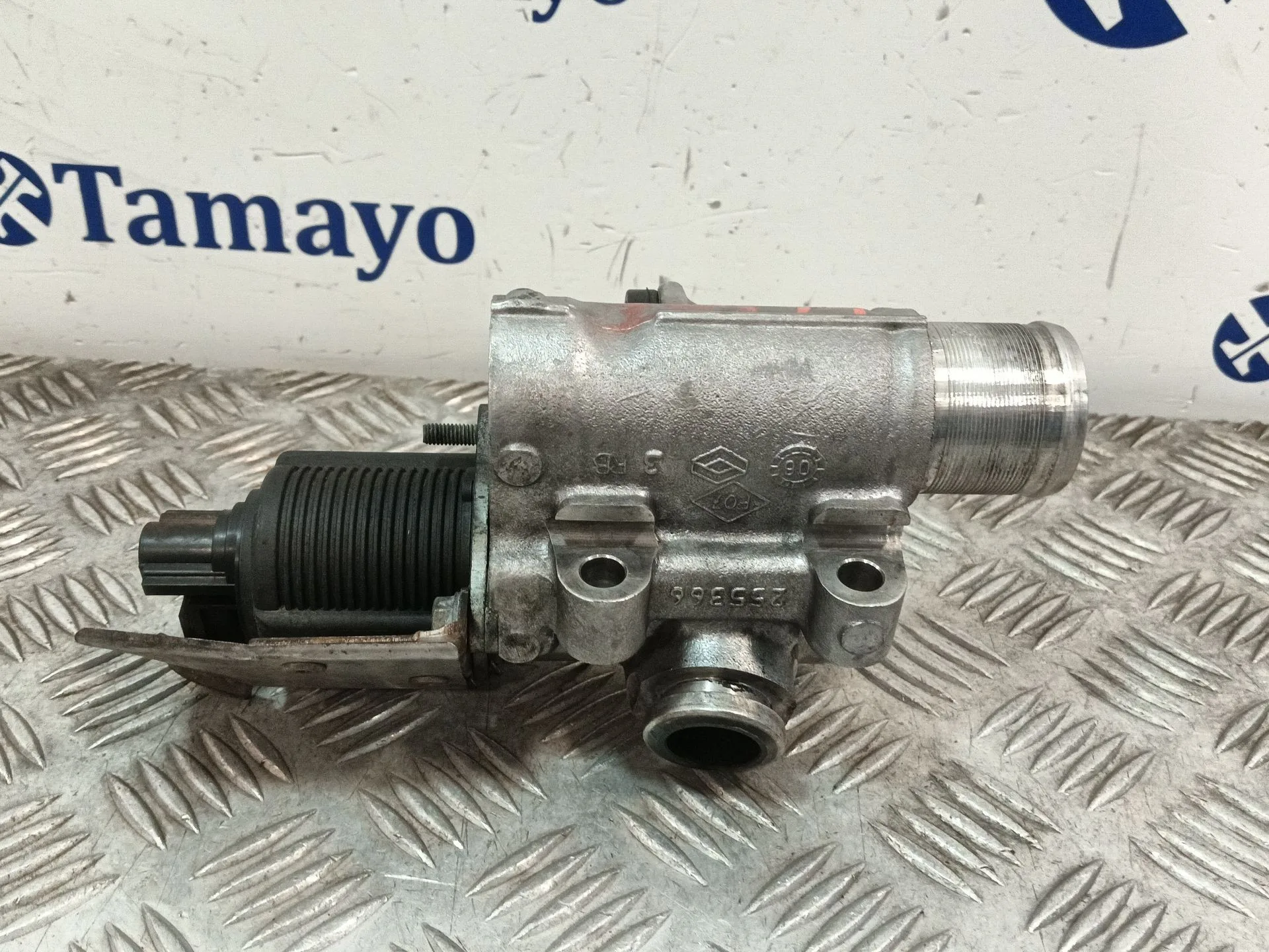 Valvula Egr para Renault Kangoo (F/Kc0)