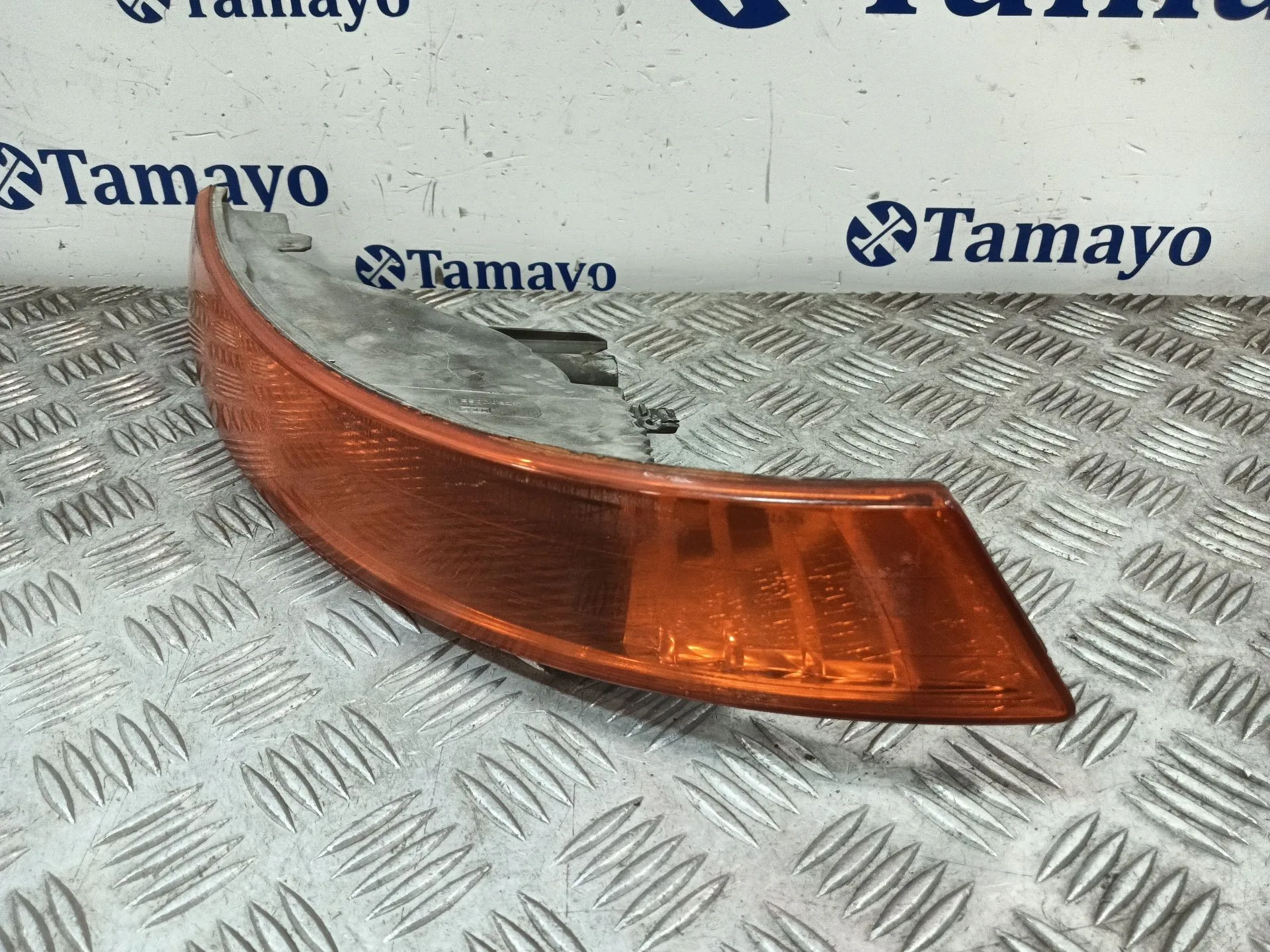 Piloto Delantero Izquierdo para Renault Trafic Ii Furgoneta (Fl)