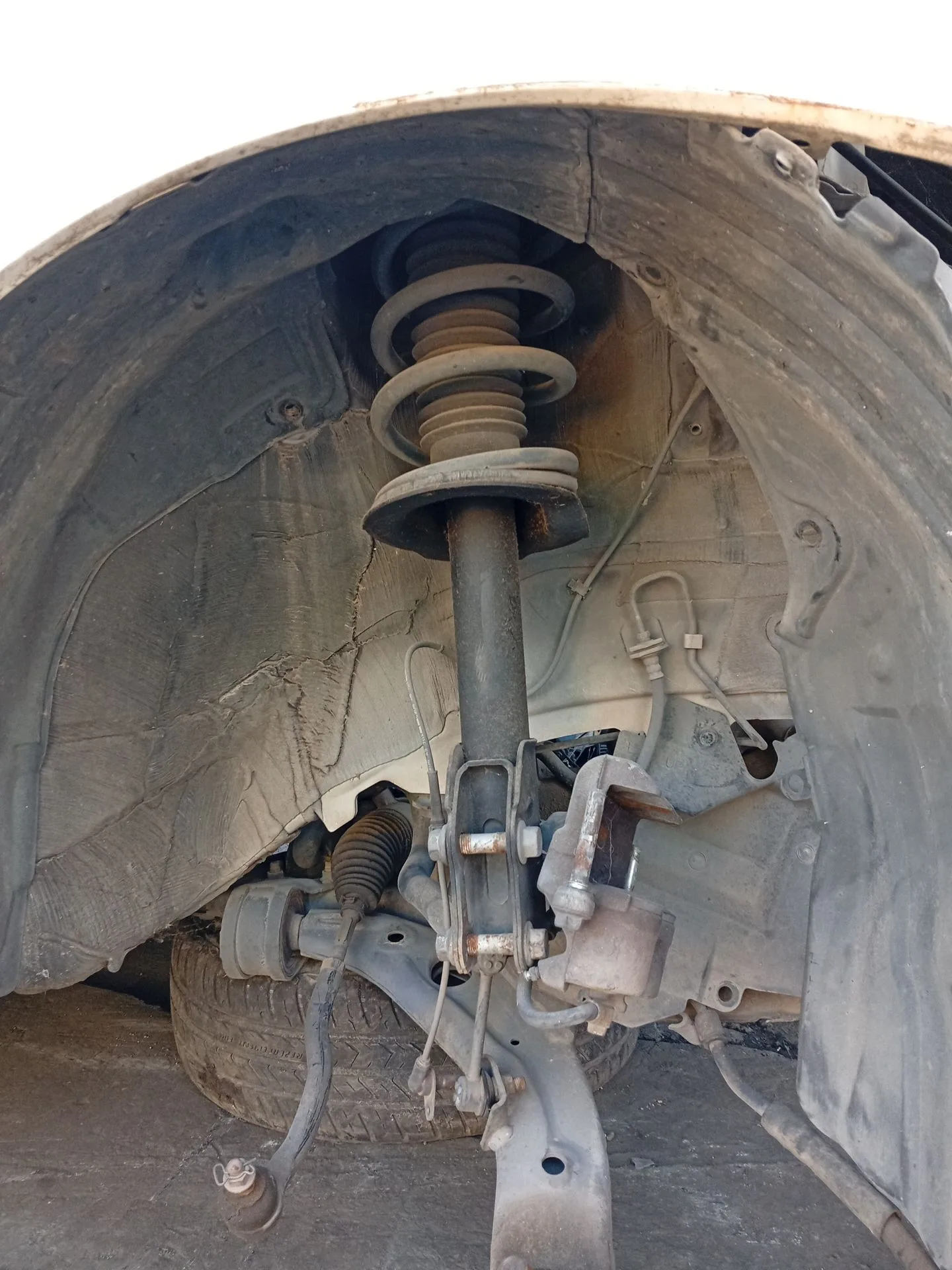 Amortiguador Delantero Derecho para Mazda Cx-7 (Er)