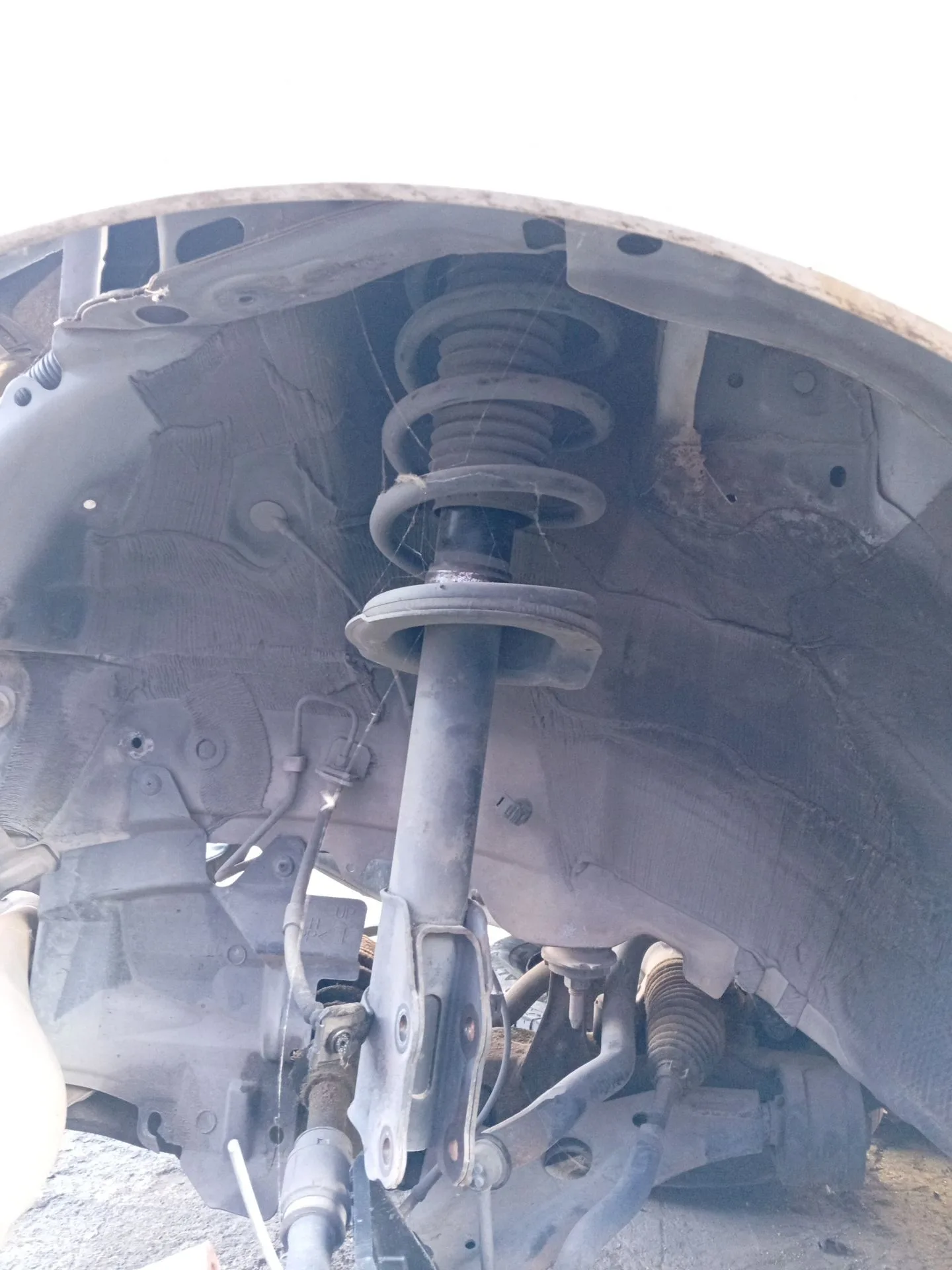 Amortiguador Delantero Izquierdo para Mazda Cx-7 (Er)