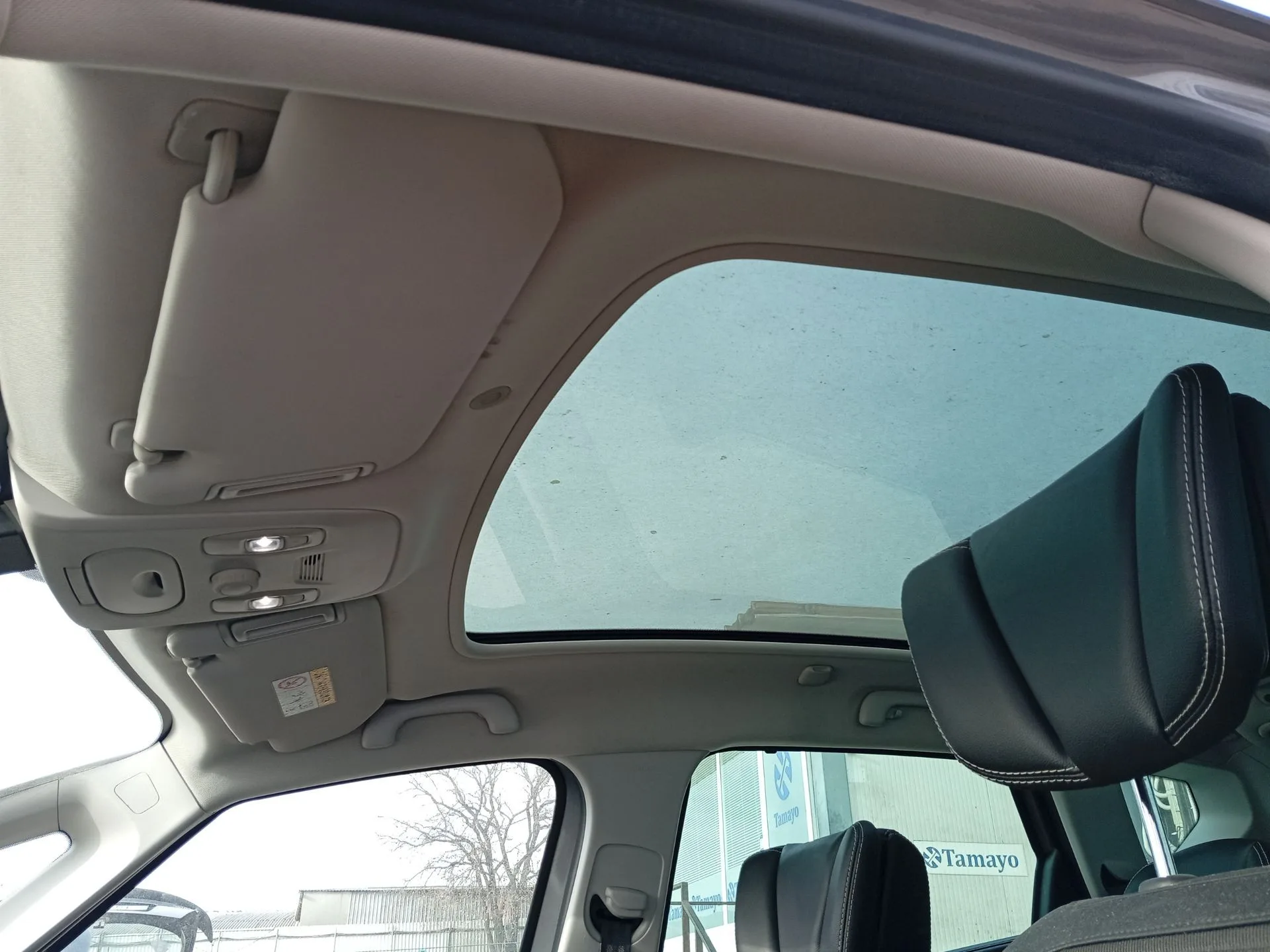 Techo Interior para Renault Scenic Iv (J9_)