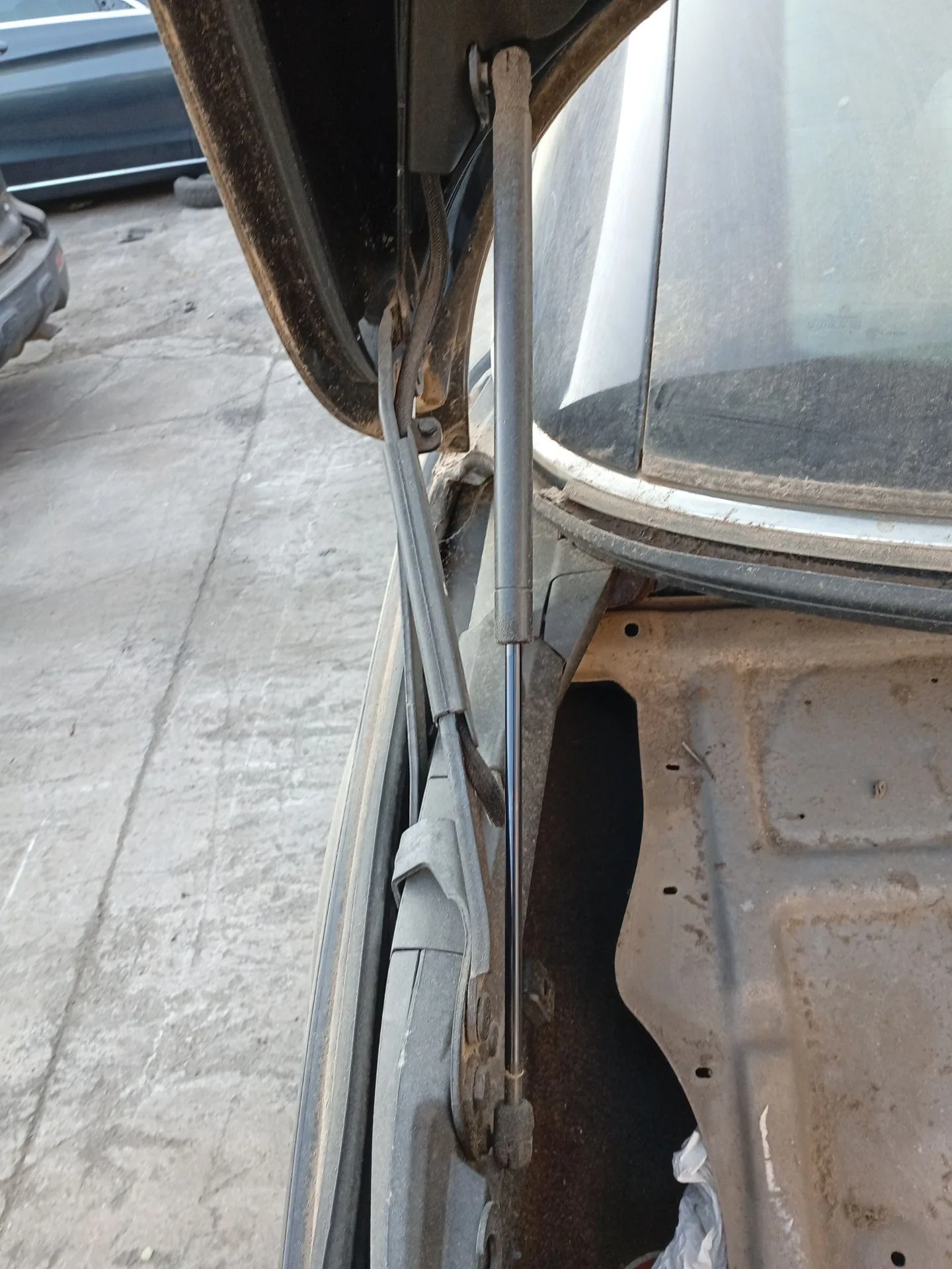Amortiguadores Maletero / Porton para Volkswagen Eos (1F7, 1F8)