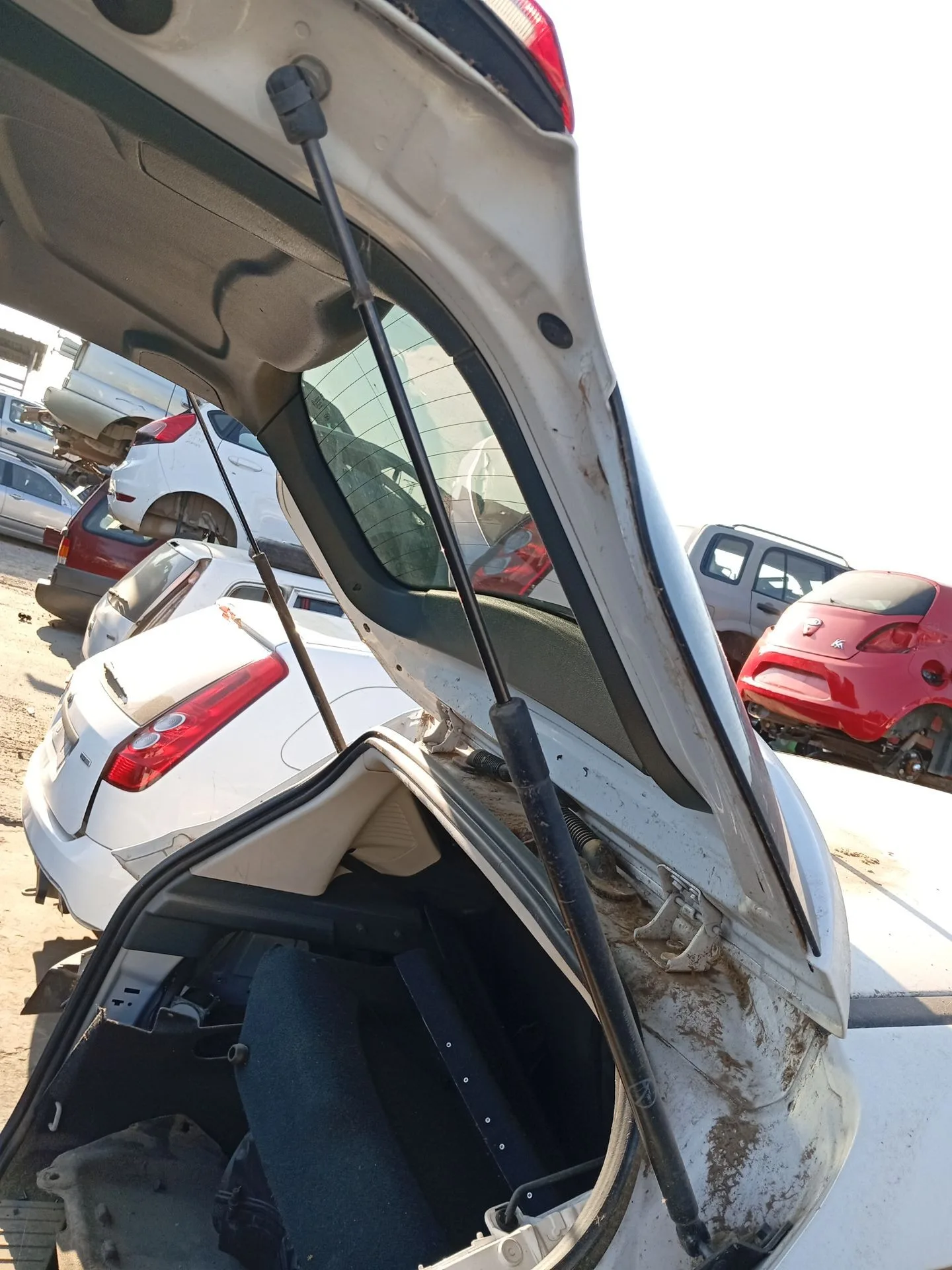Amortiguadores Maletero / Porton para Ford C-Max