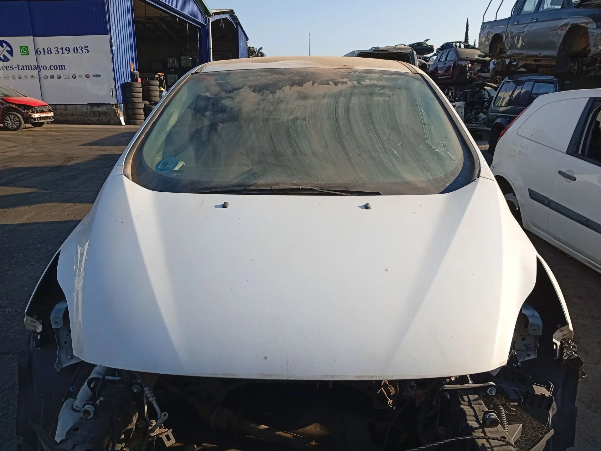 Parabrisas para Ford C-Max