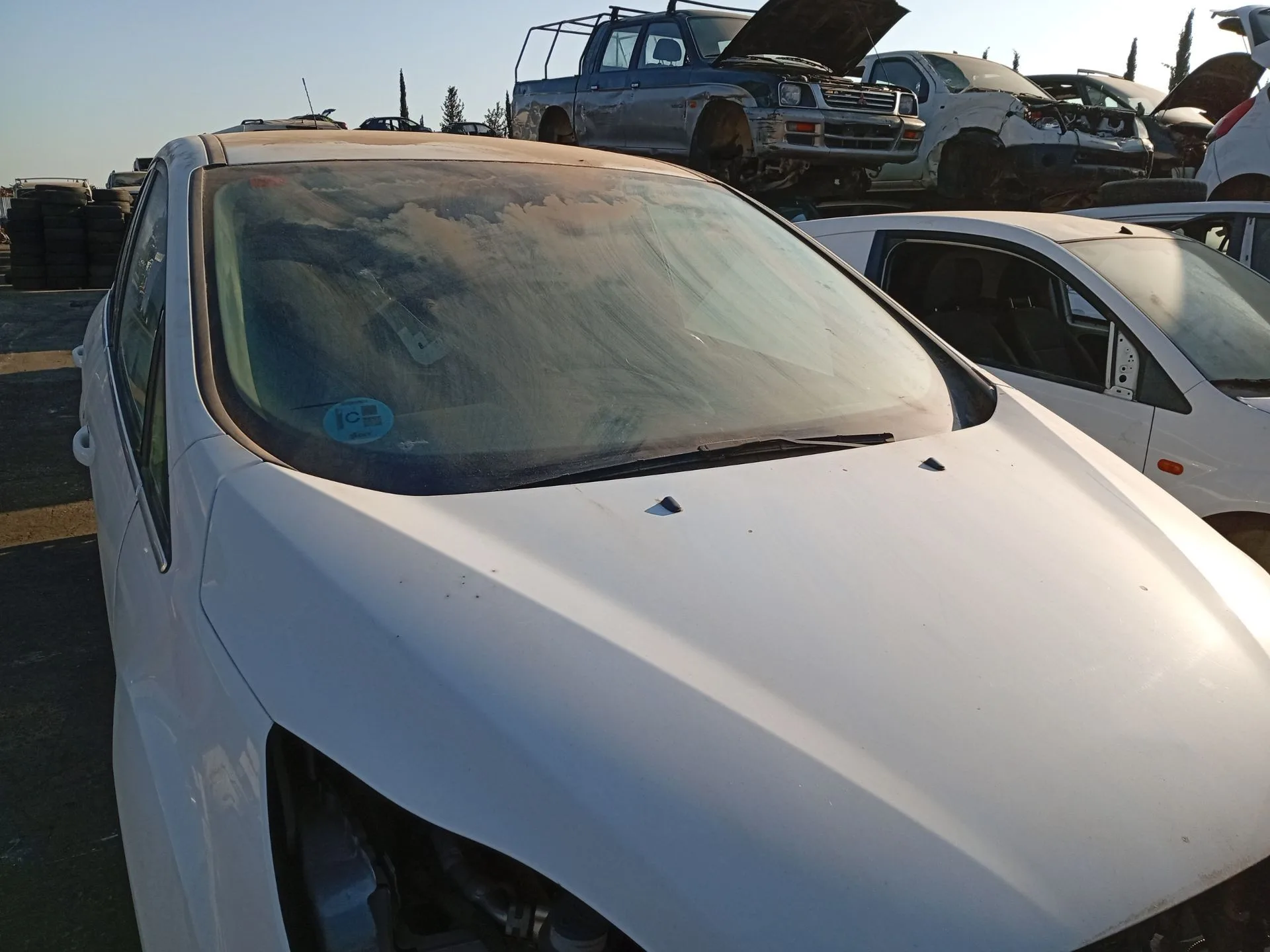 Parabrisas para Ford C-Max
