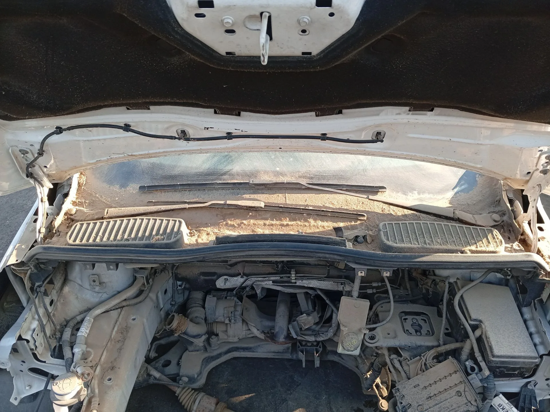 Torpedo para Ford C-Max