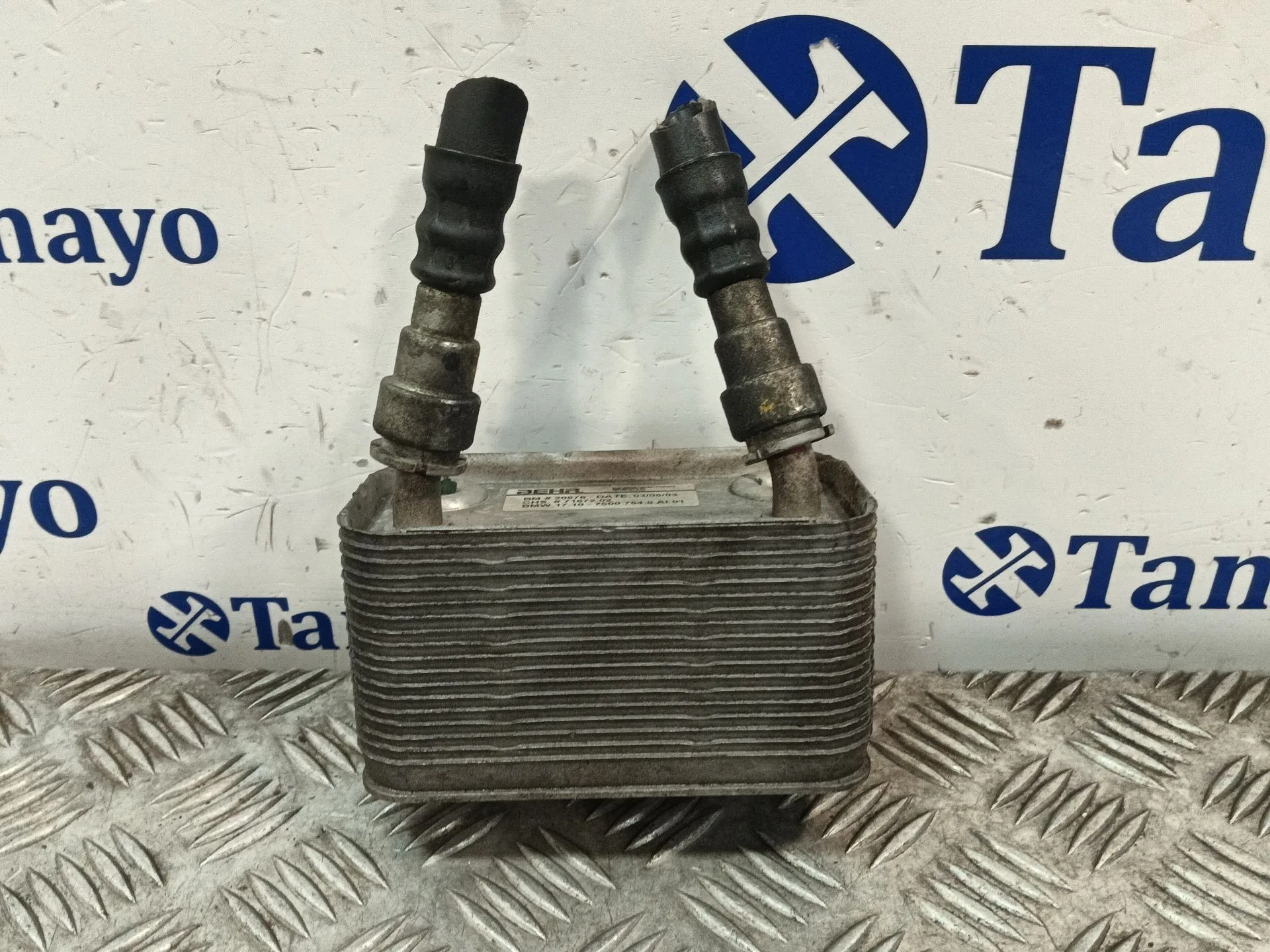 Enfriador Aceite Motor para Bmw X5 (E53)