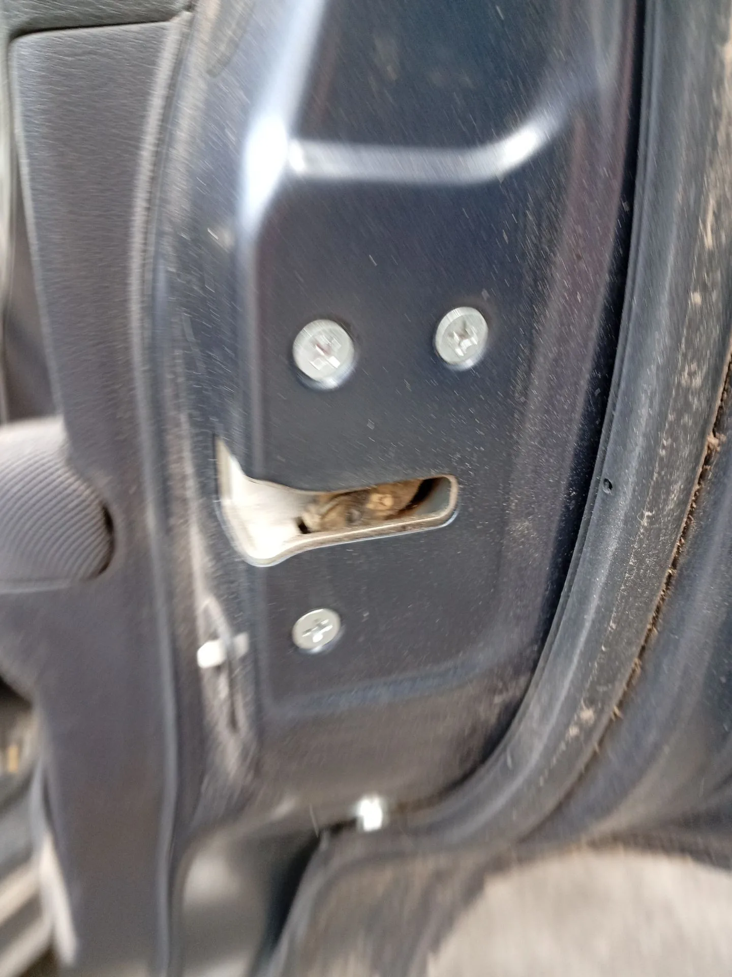 Cerradura Puerta Trasera Derecha para Honda Cr-V (Re)