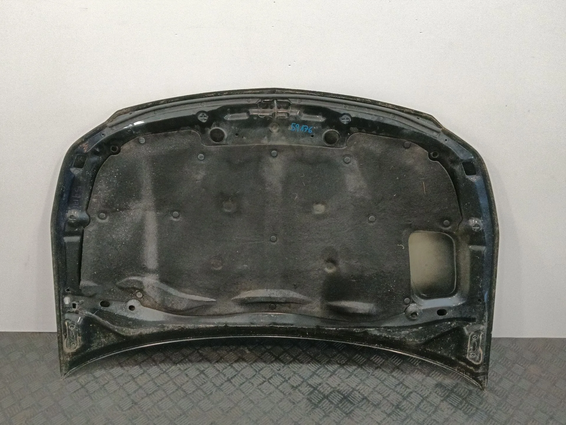 Capot para Fiat Sedici (189_)