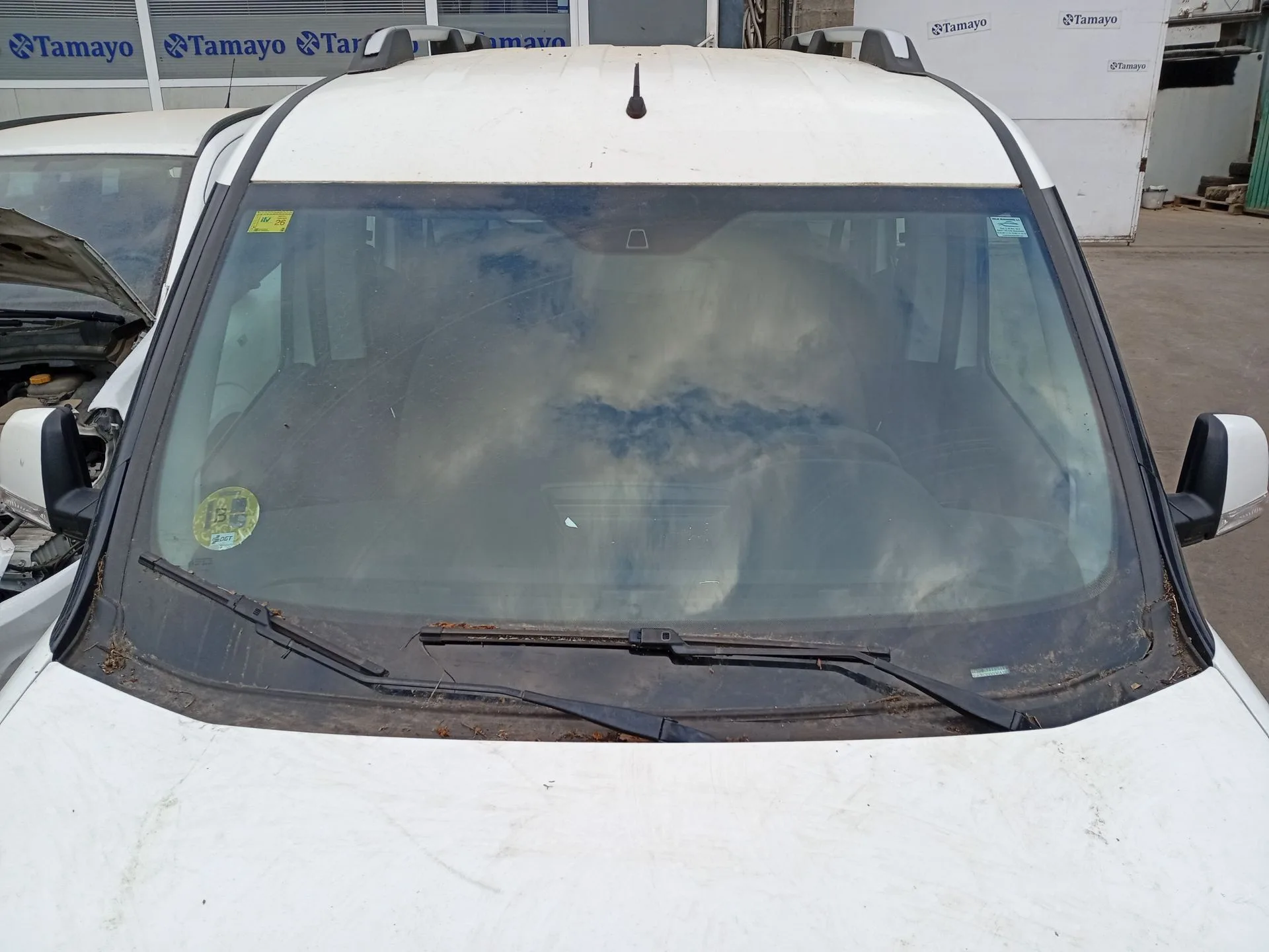 Parabrisas para Fiat Doblo Autobus (263_)