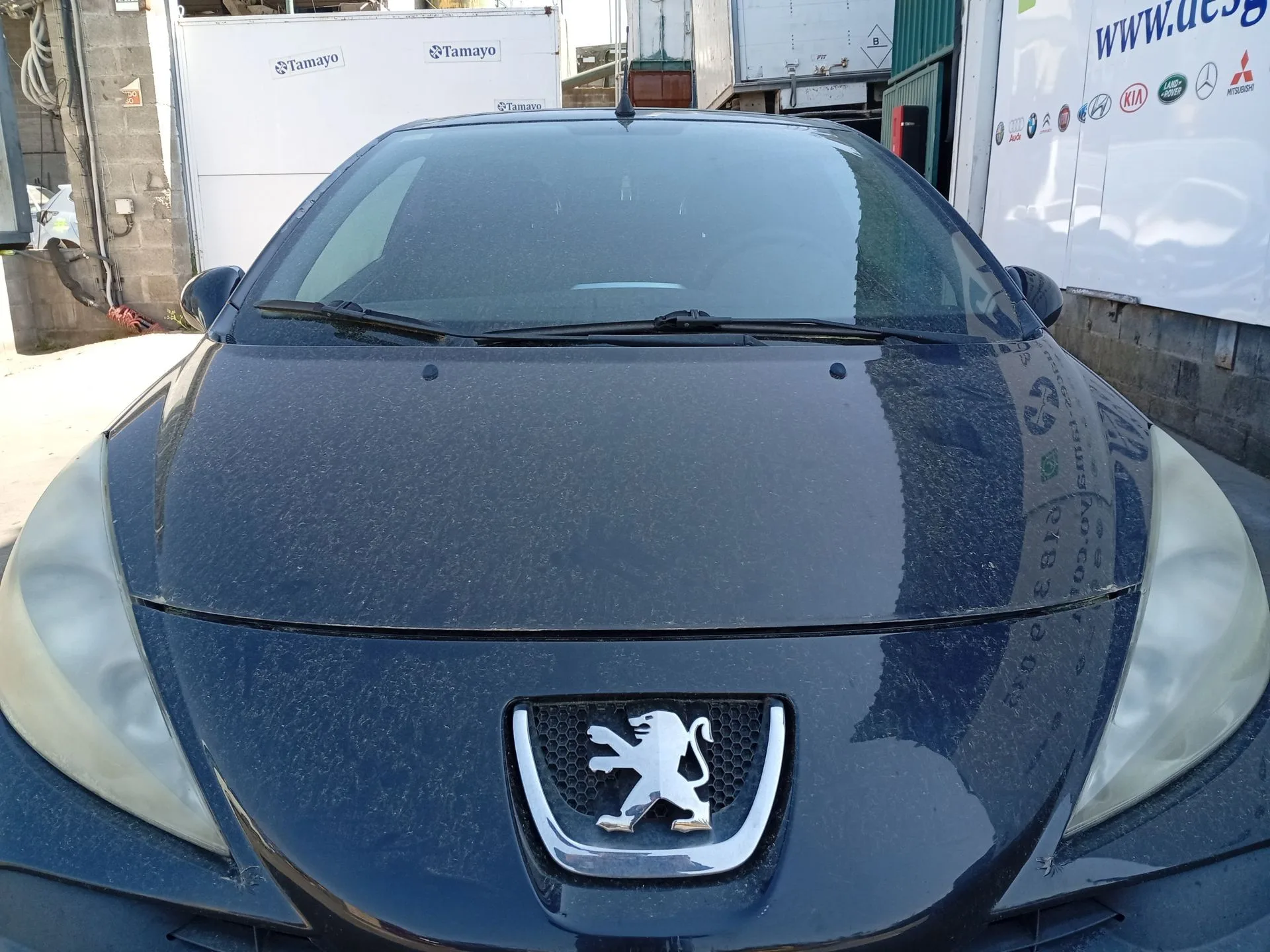 Parabrisas para Peugeot 207 Cc (Wd_)
