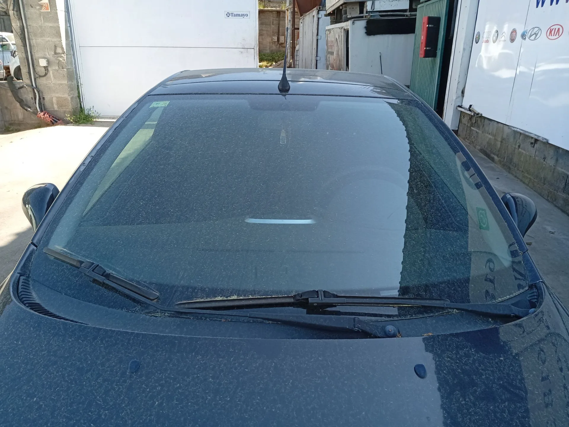 Parabrisas para Peugeot 207 Cc (Wd_)