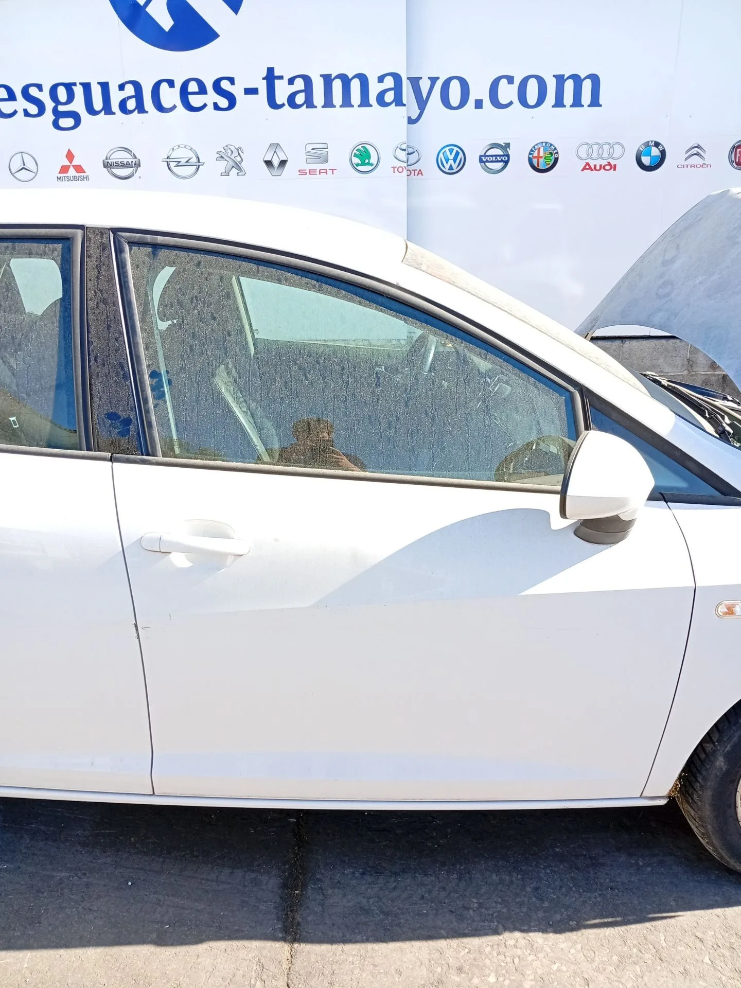 Puerta Delantera Derecha para Seat Ibiza Iv St (6J8, 6P8)