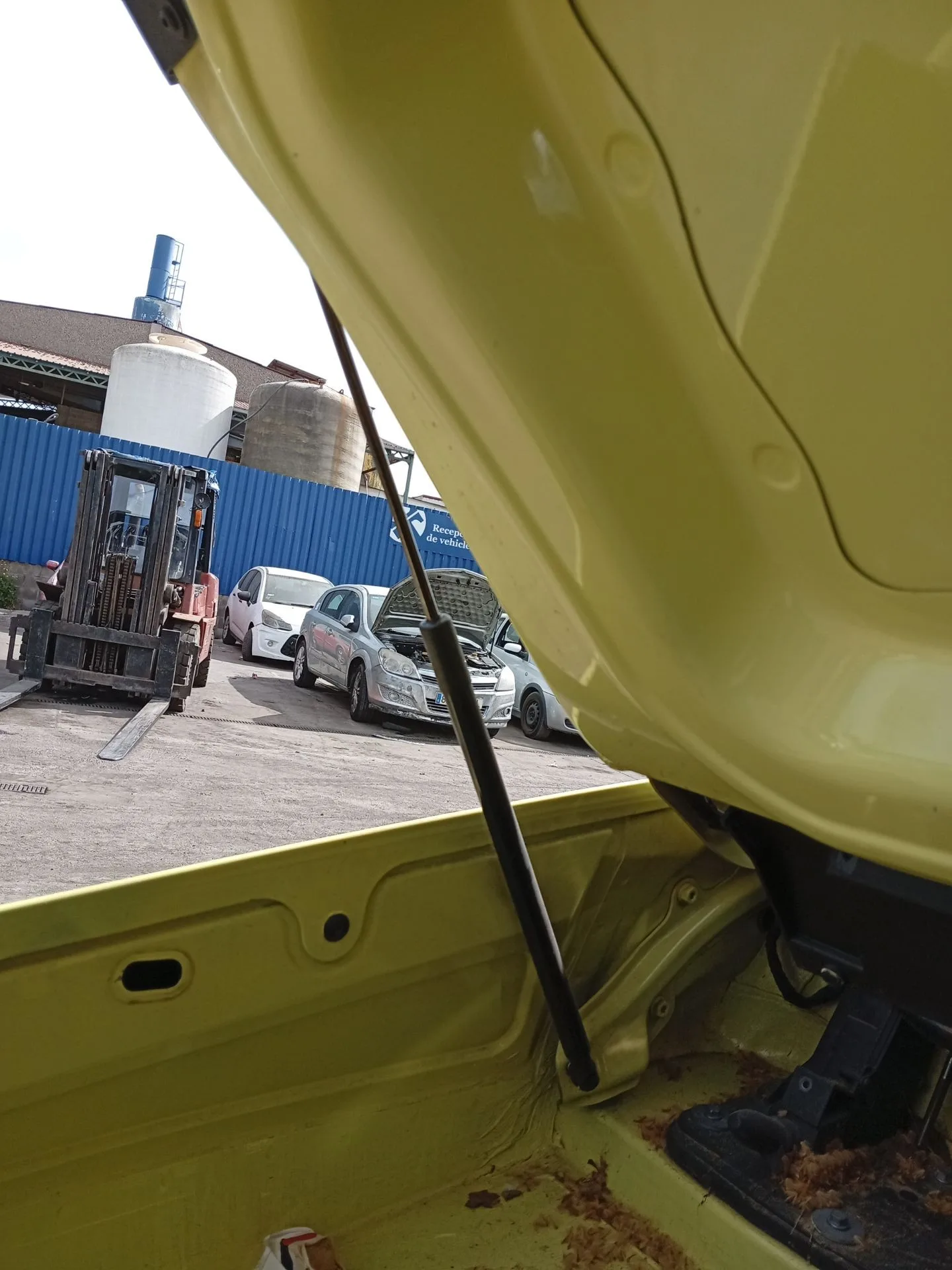 Amortiguadores Maletero / Porton para Renault Wind (E4M_)
