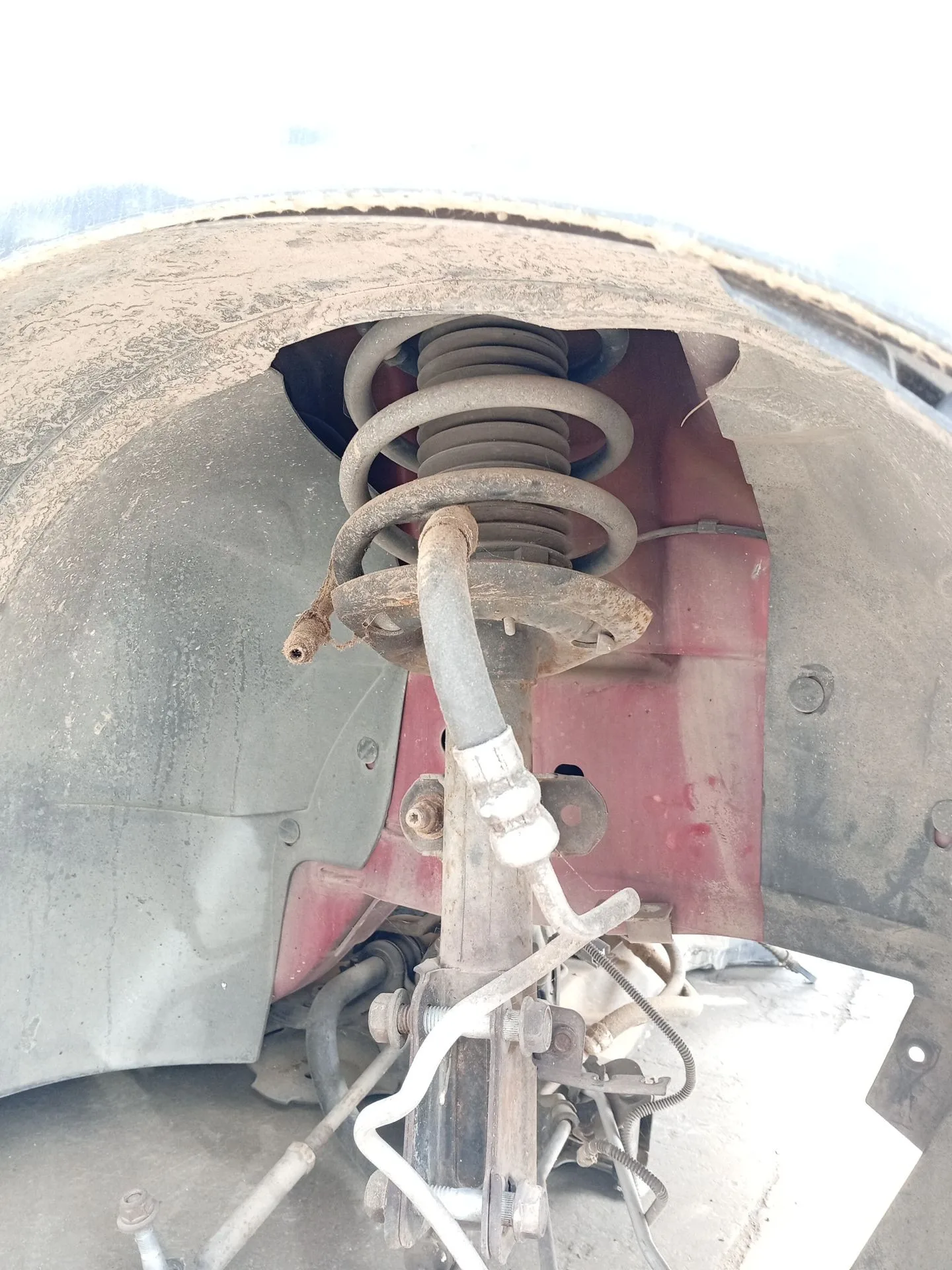 Amortiguador Delantero Derecho para Chrysler Grand Voyager V (Rt)