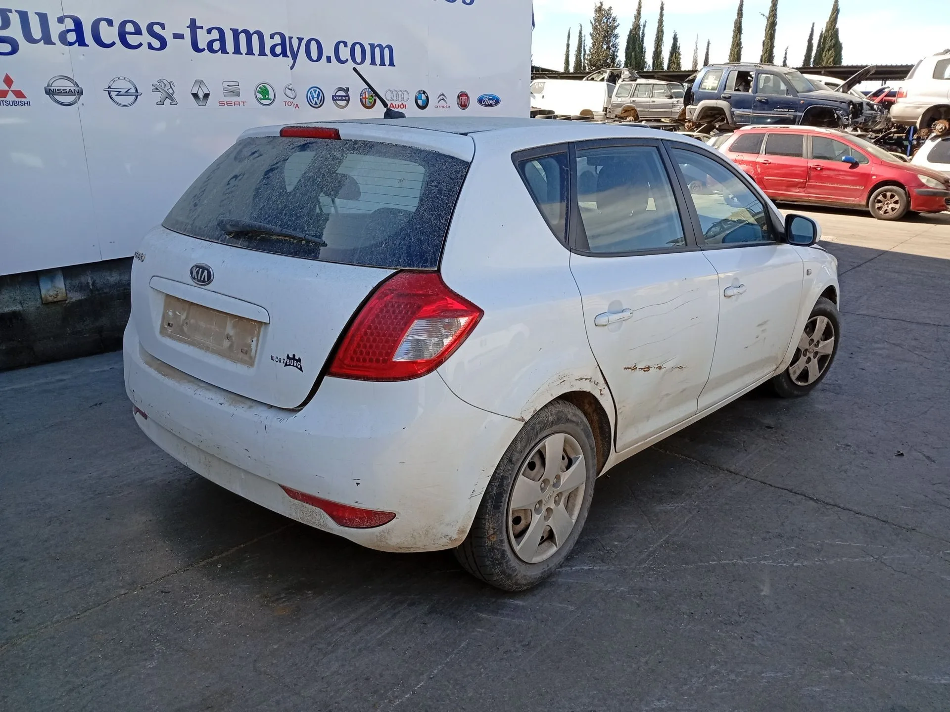 Amortiguador Trasero Derecho para Kia Cee'd Hatchback (Ed)