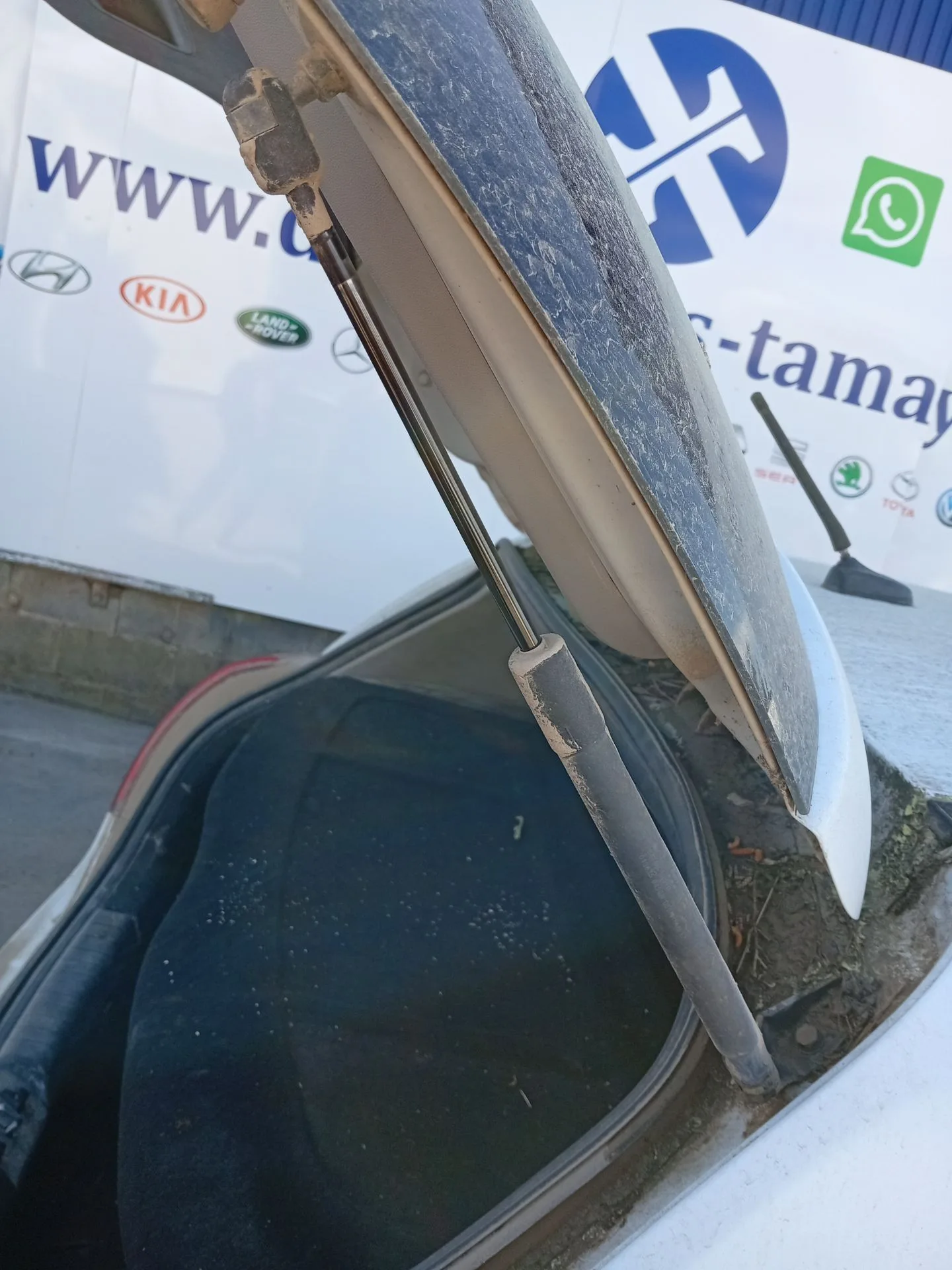 Amortiguadores Maletero / Porton para Kia Cee'd Hatchback (Ed)