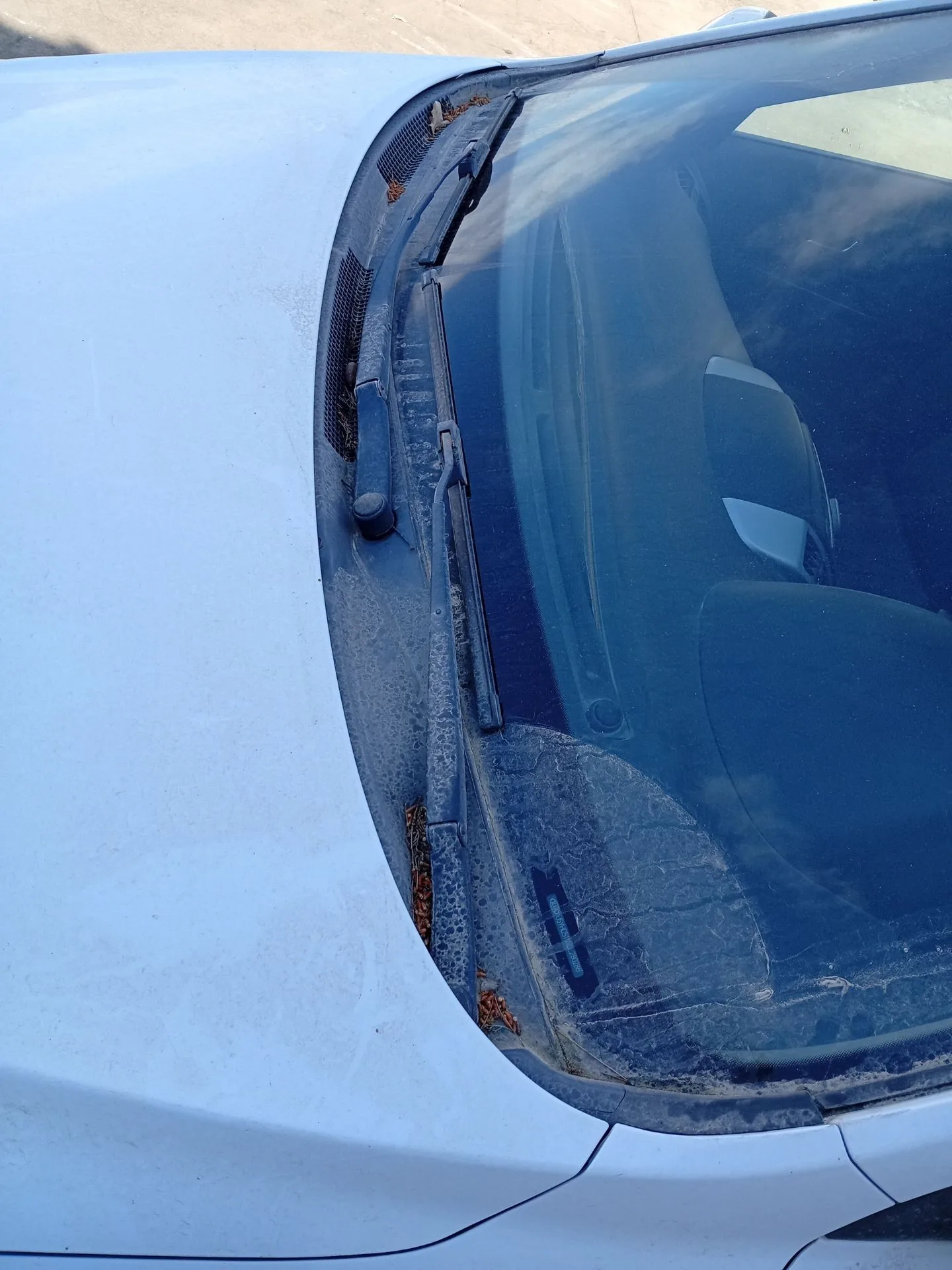 Torpedo para Kia Cee'd Hatchback (Ed)