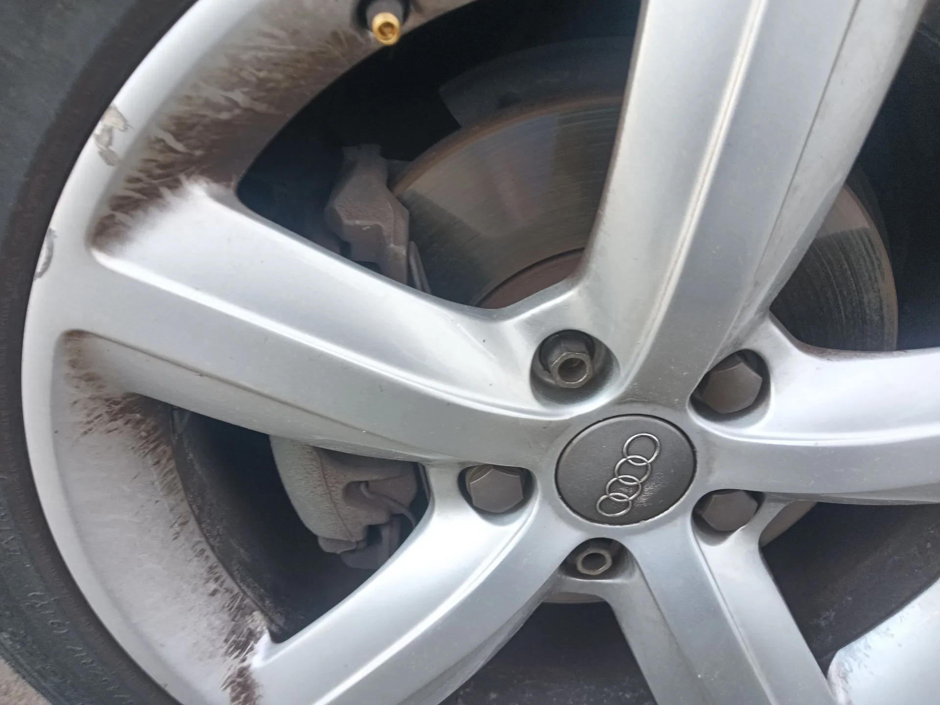 Pinza Freno Delantera Derecha para Audi A3 Sportback (8Pa)