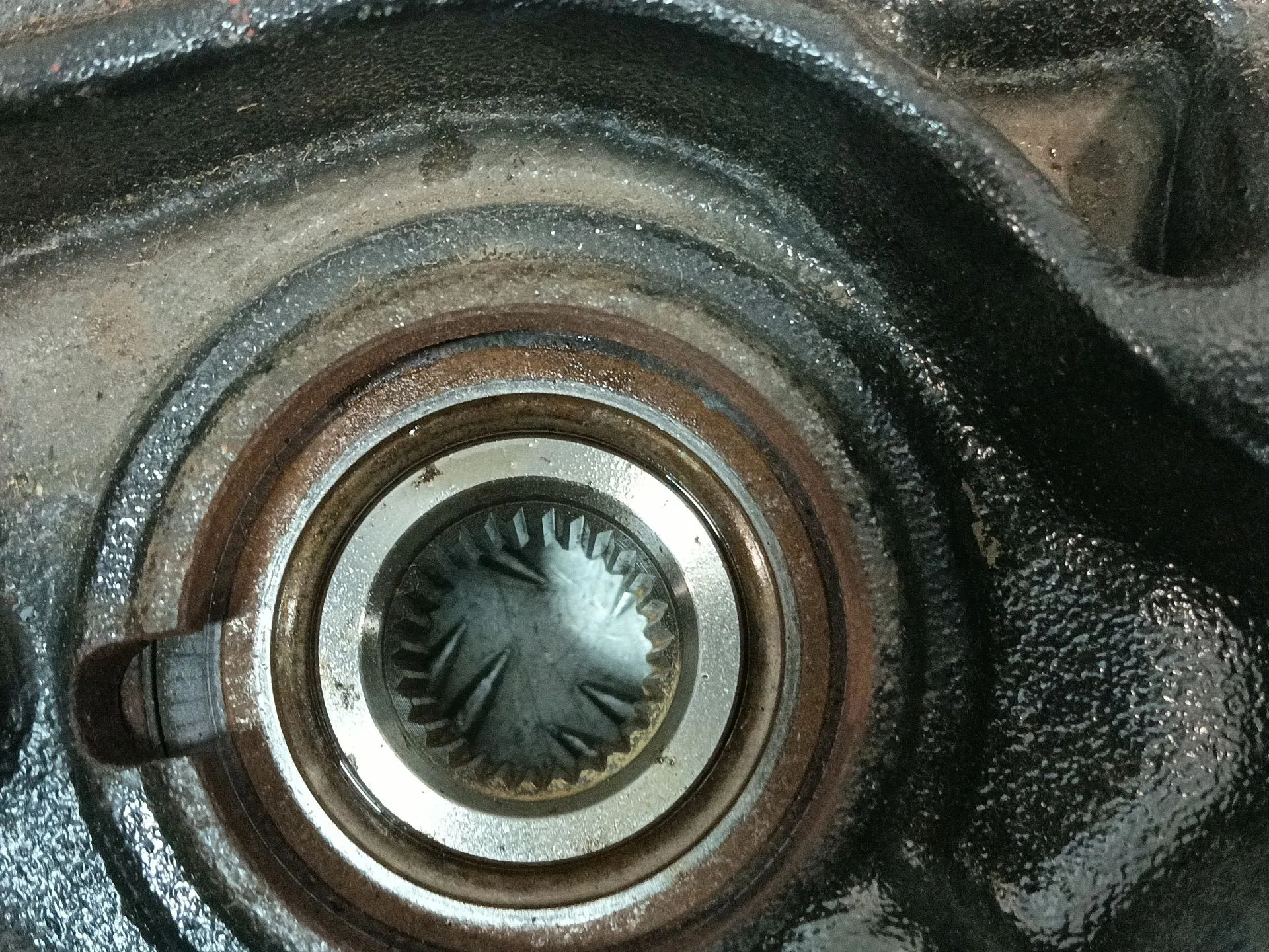 Mangueta Trasera Derecha para Bmw Serie 3 Lim. (F30)