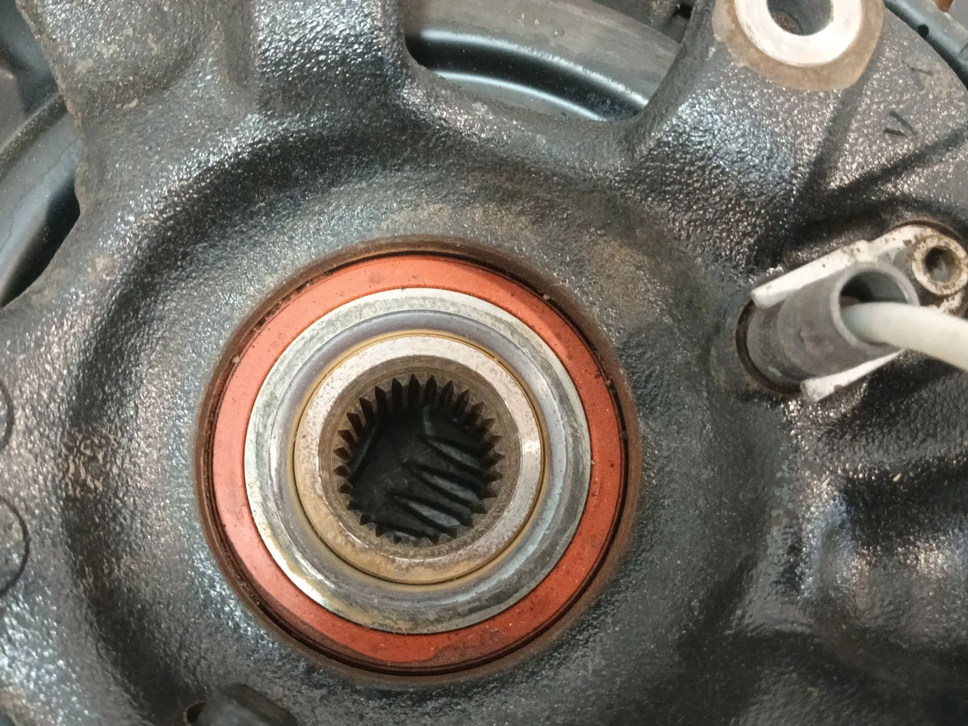 Mangueta Trasera Izquierda para Bmw 1 (E81)