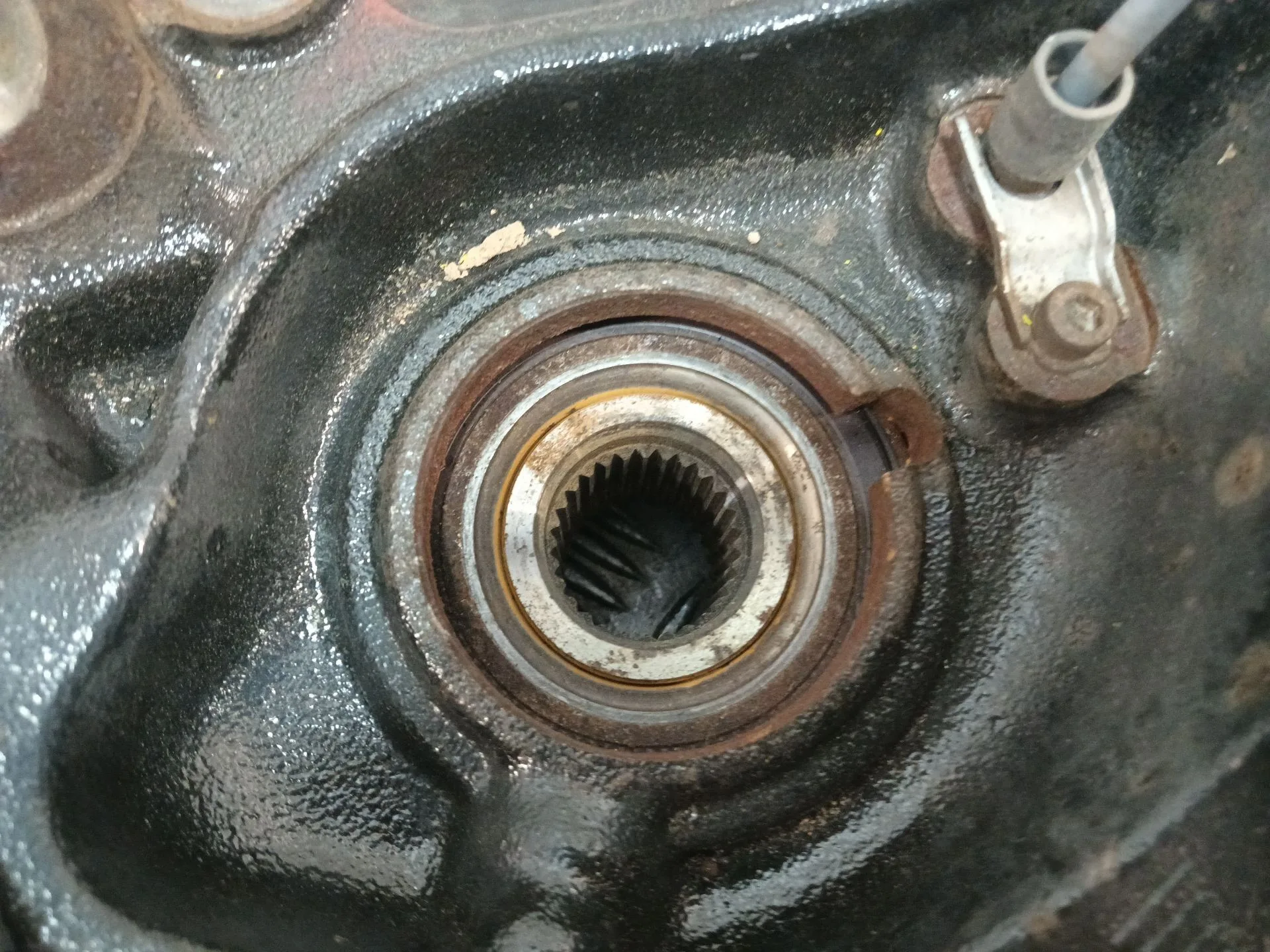 Mangueta Trasera Izquierda para Bmw Serie 3 Lim. (F30)