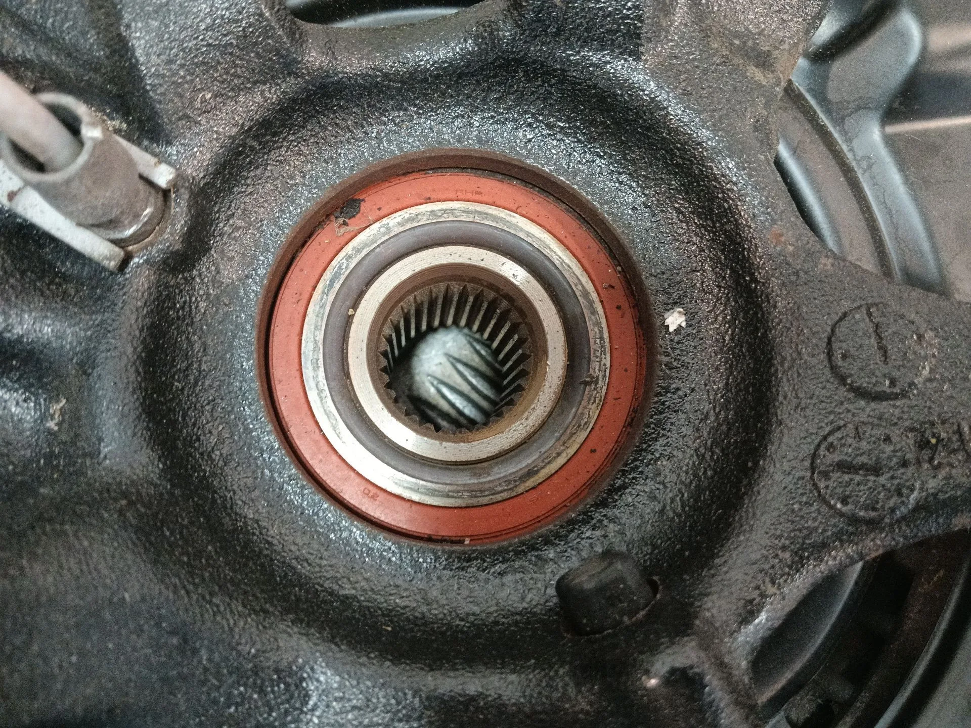 Mangueta Trasera Derecha para Bmw 1 (E81)